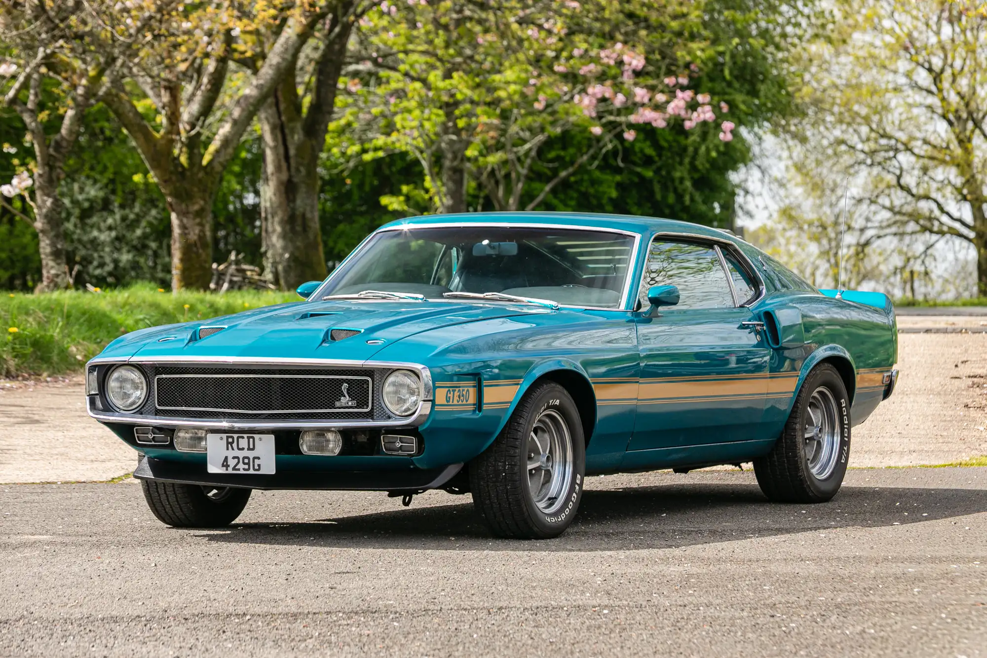 1969 Ford Shelby Mustang GT350 Fastback-For Sale