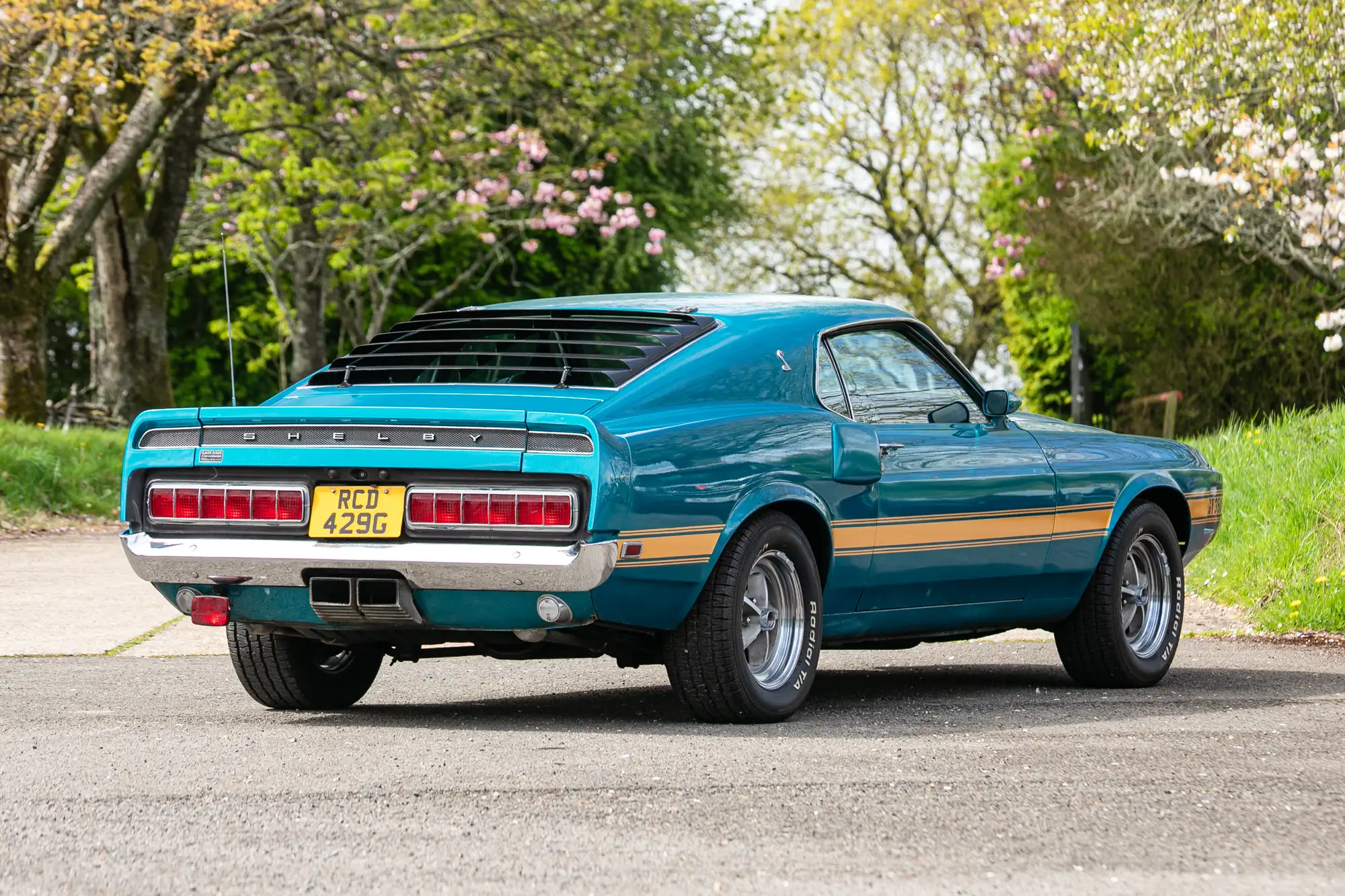 1969 Ford Shelby Mustang GT350 Fastback-For Sale