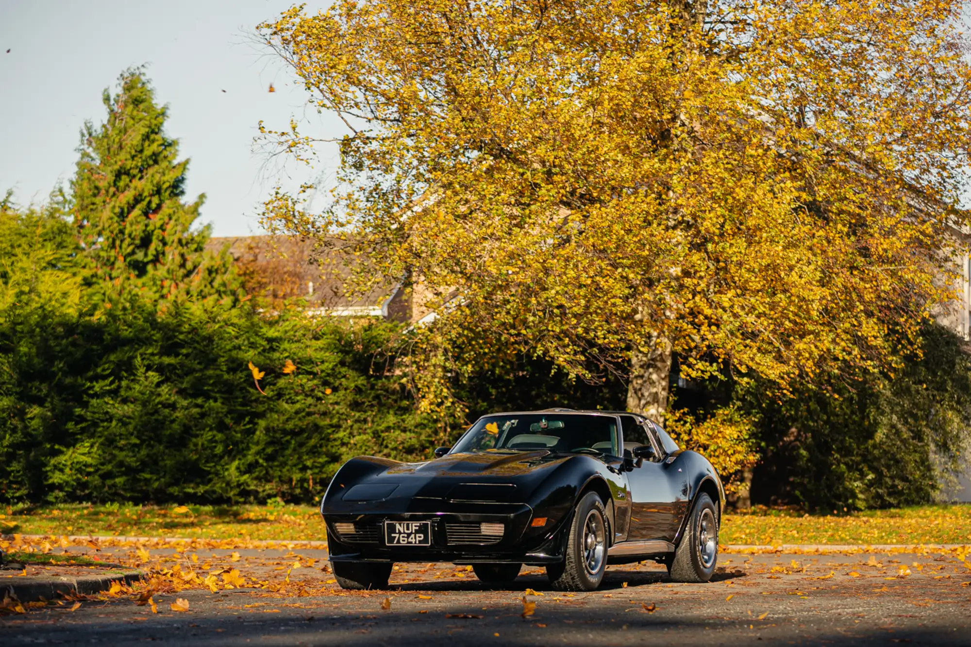1976 Chevrolet Corvette Stingray C3 Targa-Top 350ci-Sold