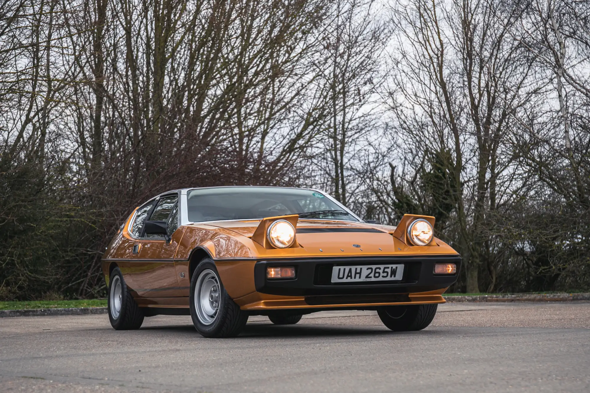 1981 Lotus Elite S2-Sold