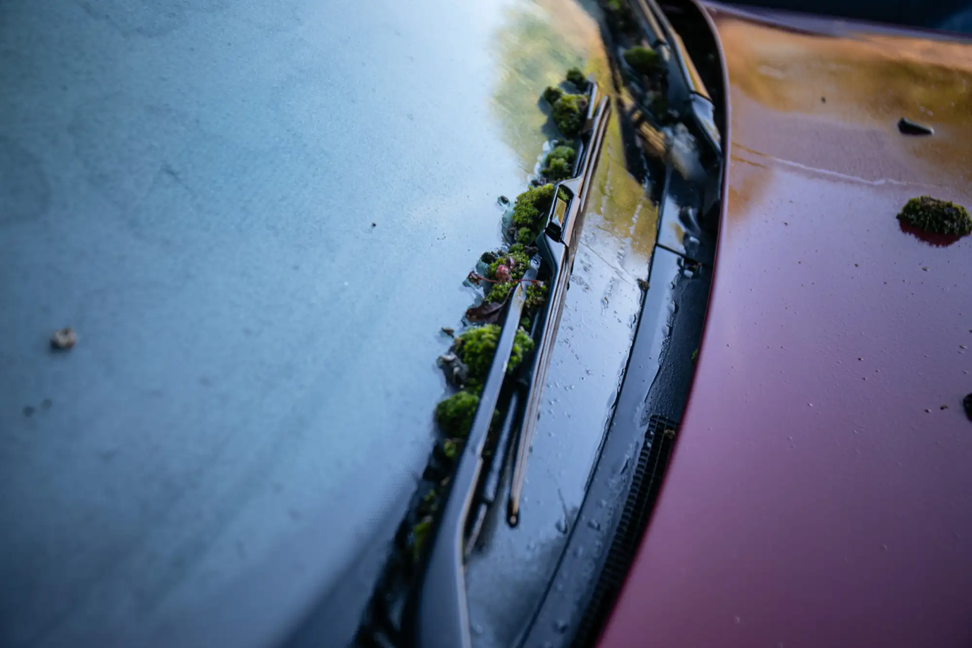 1995 BMW 750iL (E32)-Sold