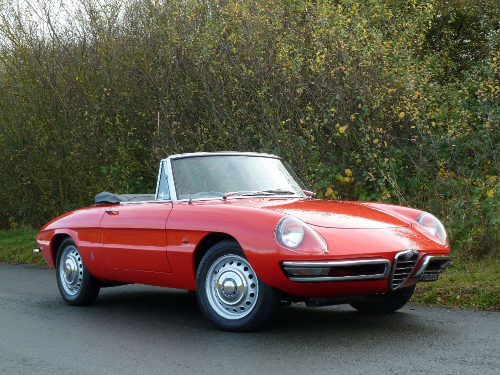 1967 Alfa Romeo Spider 1600 Duetto -Sold