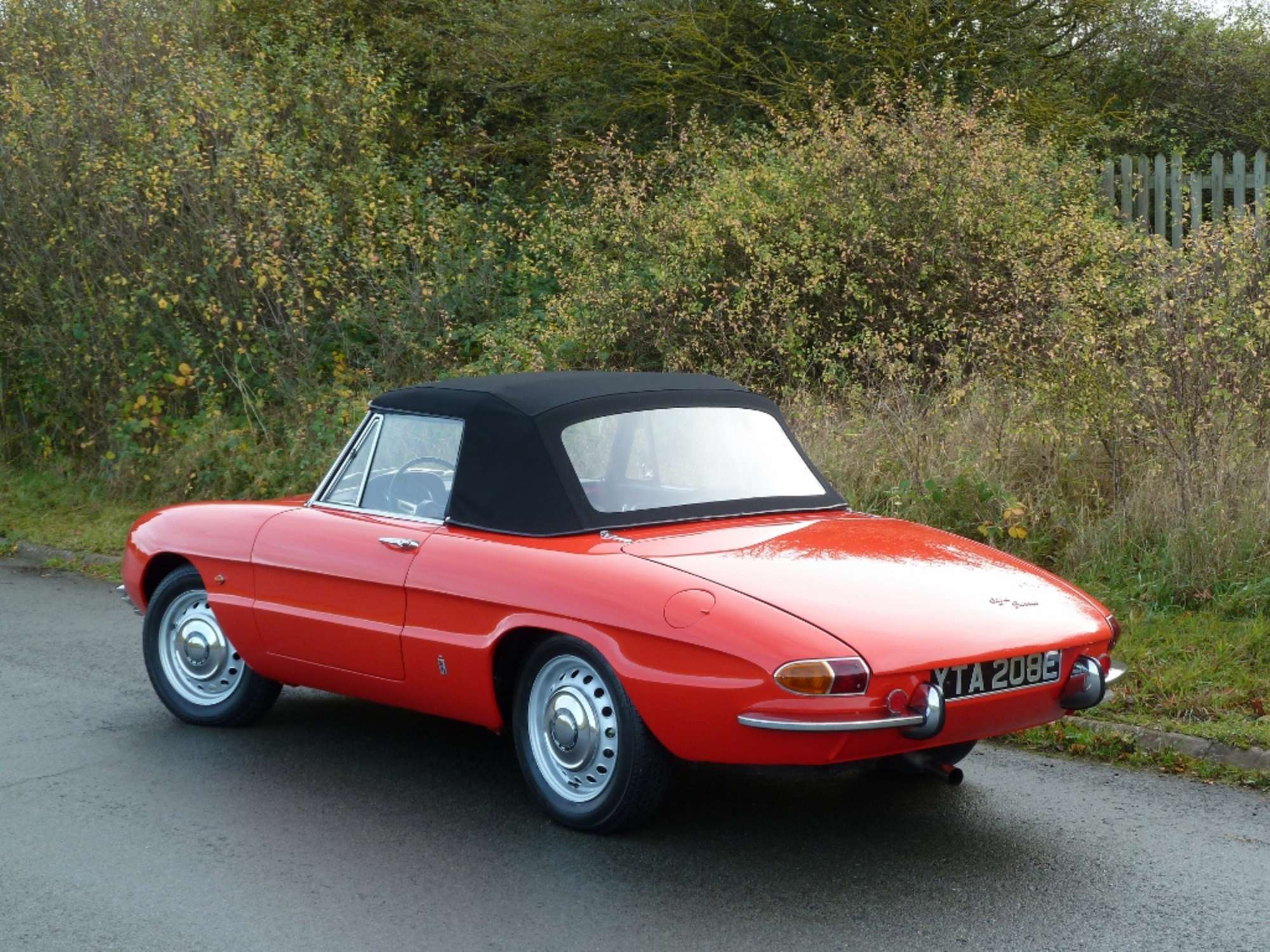 1967 Alfa Romeo Spider 1600 Duetto -Sold