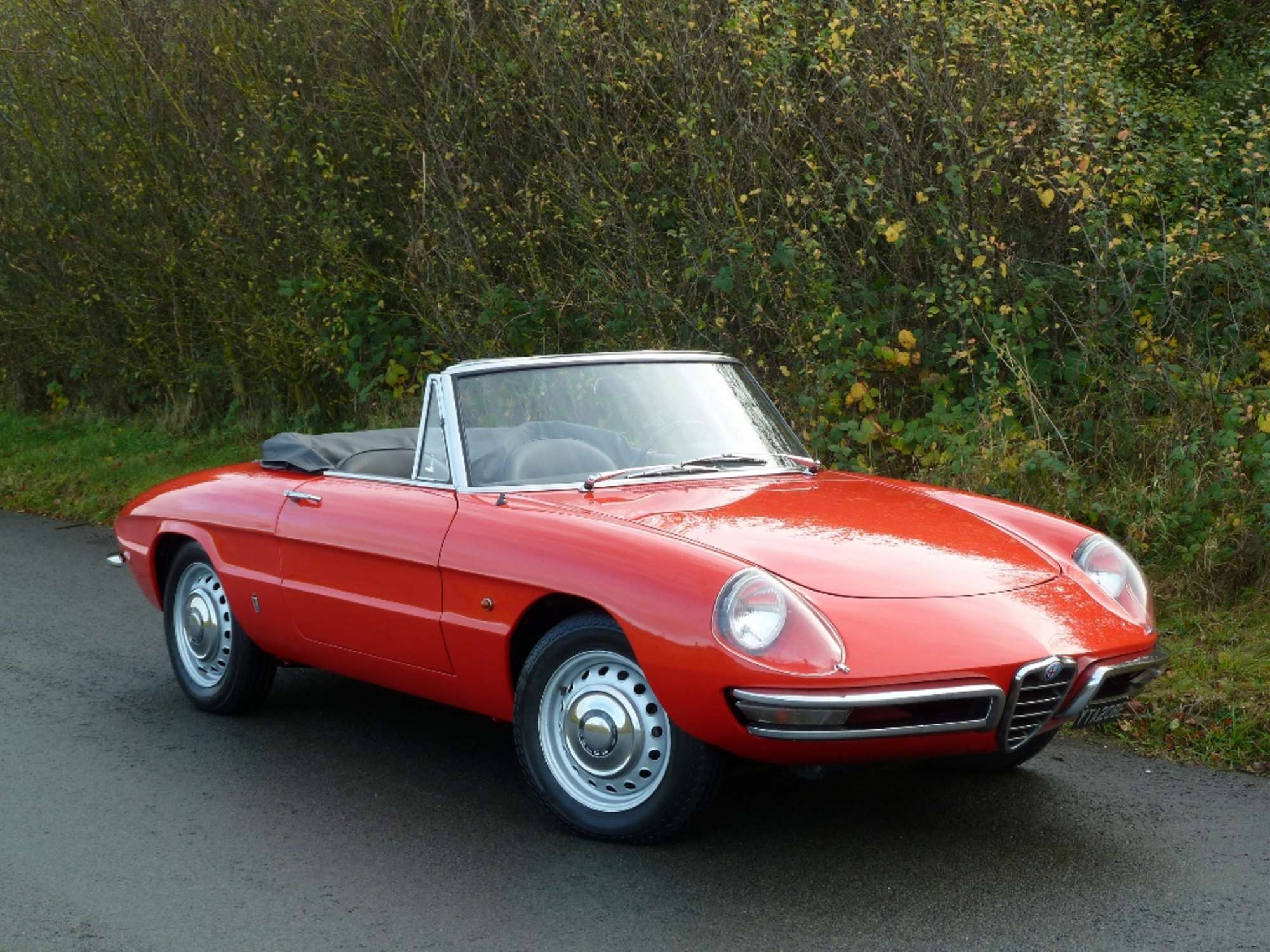 1967 Alfa Romeo Spider 1600 Duetto -Sold