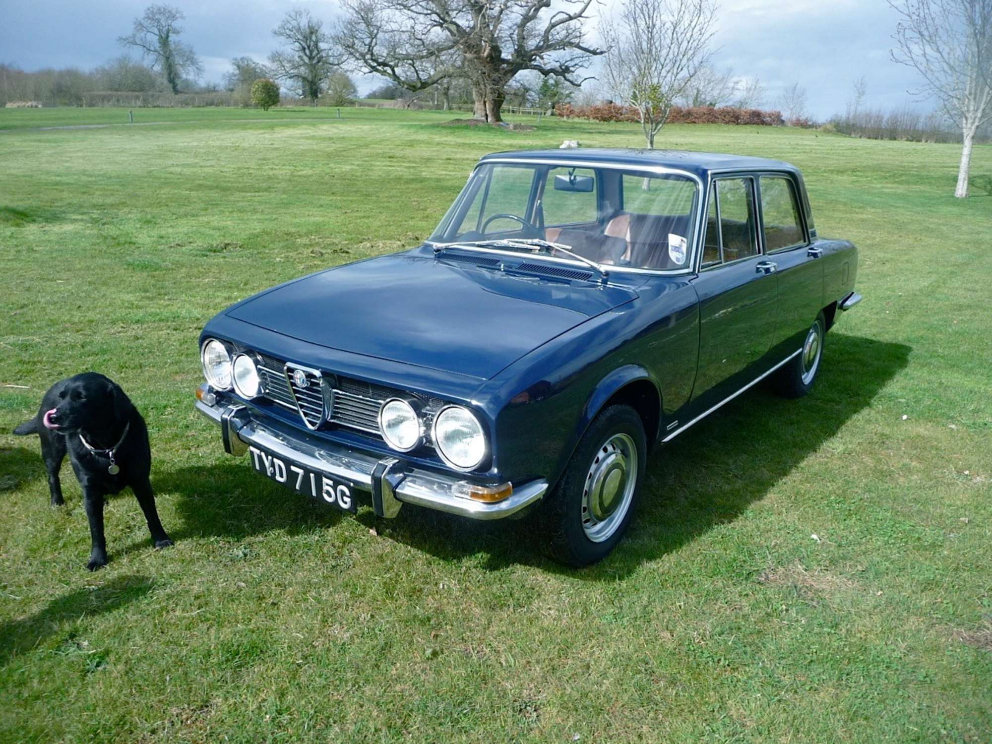 1968 Alfa Romeo 1750 Berlina Saloon-Auction Lot