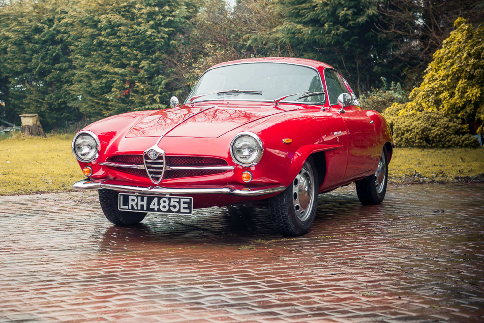 1967 Alfa Romeo Giulia SS-Sold