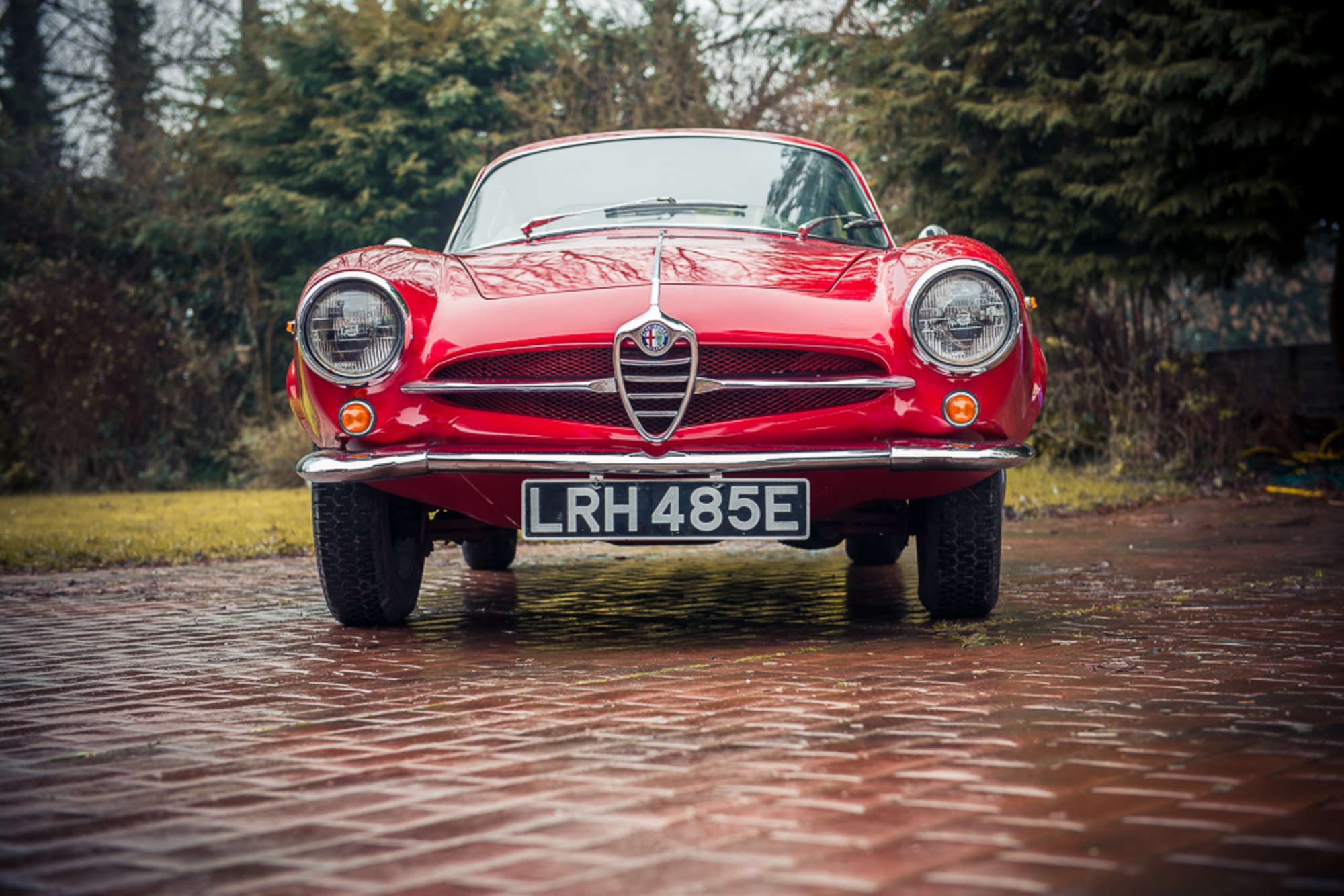 1967 Alfa Romeo Giulia SS-Sold