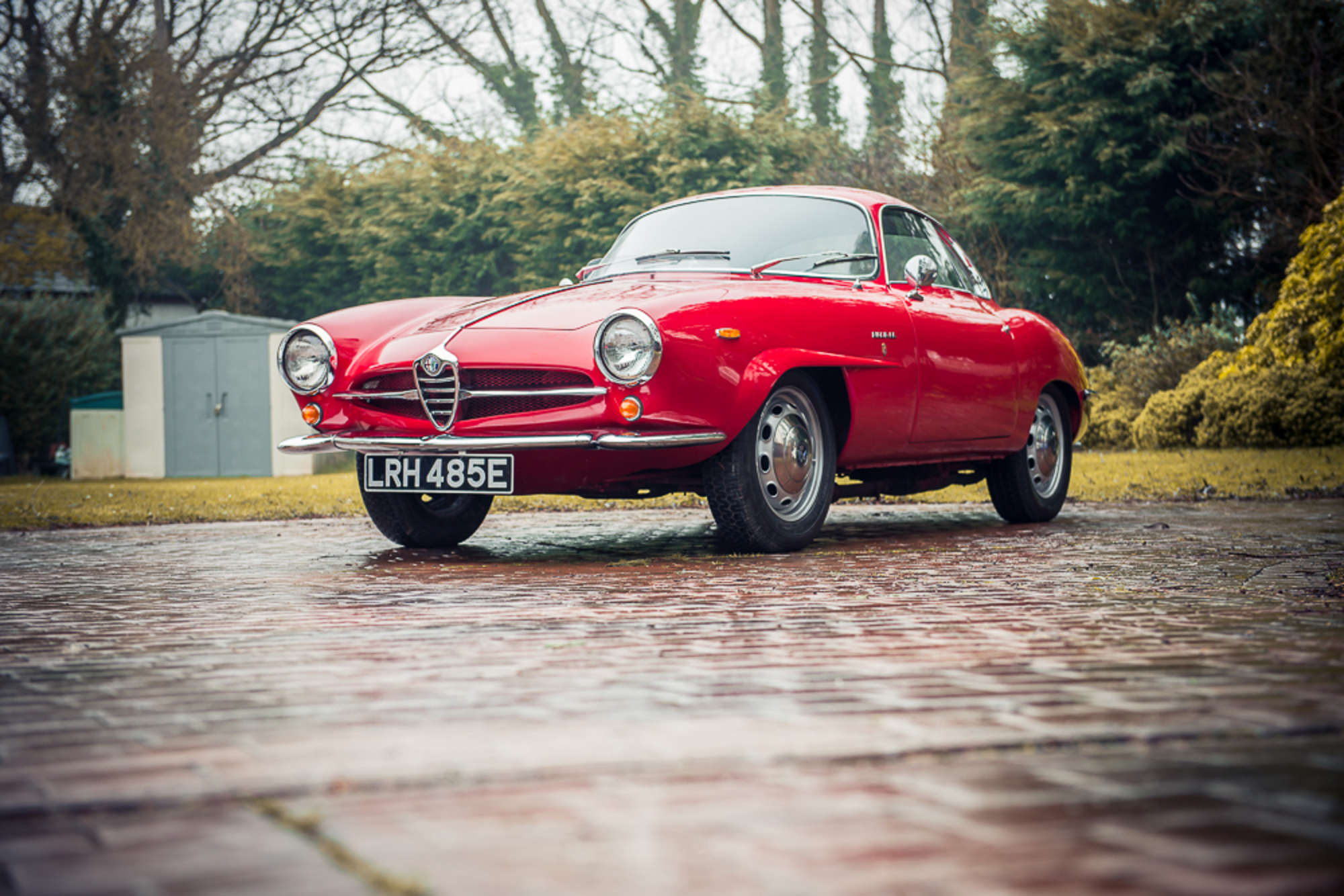 1967 Alfa Romeo Giulia SS-Sold