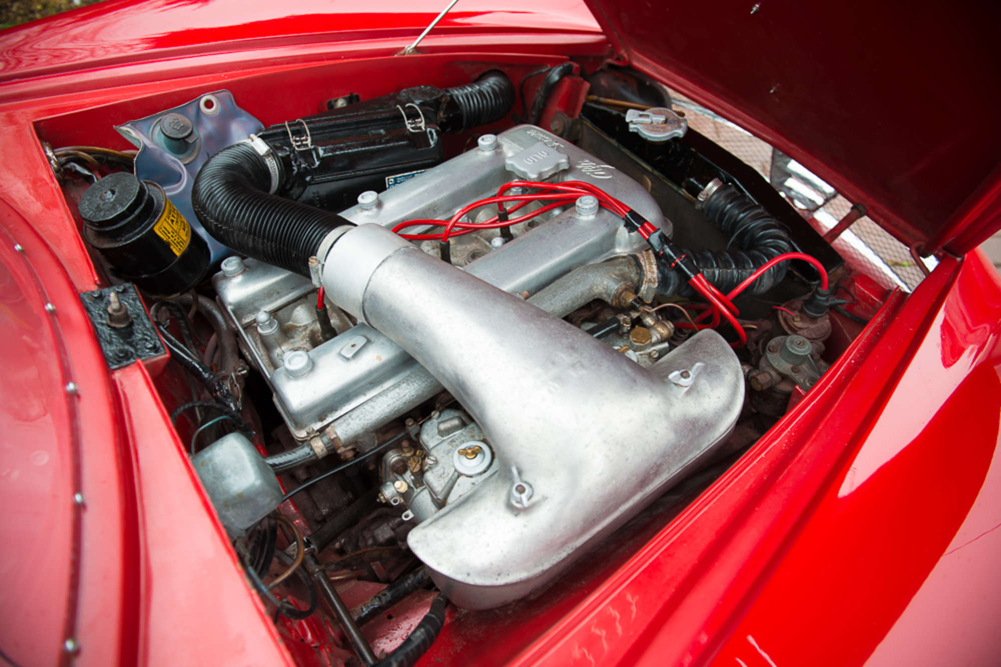 1967 Alfa Romeo Giulia SS-Sold