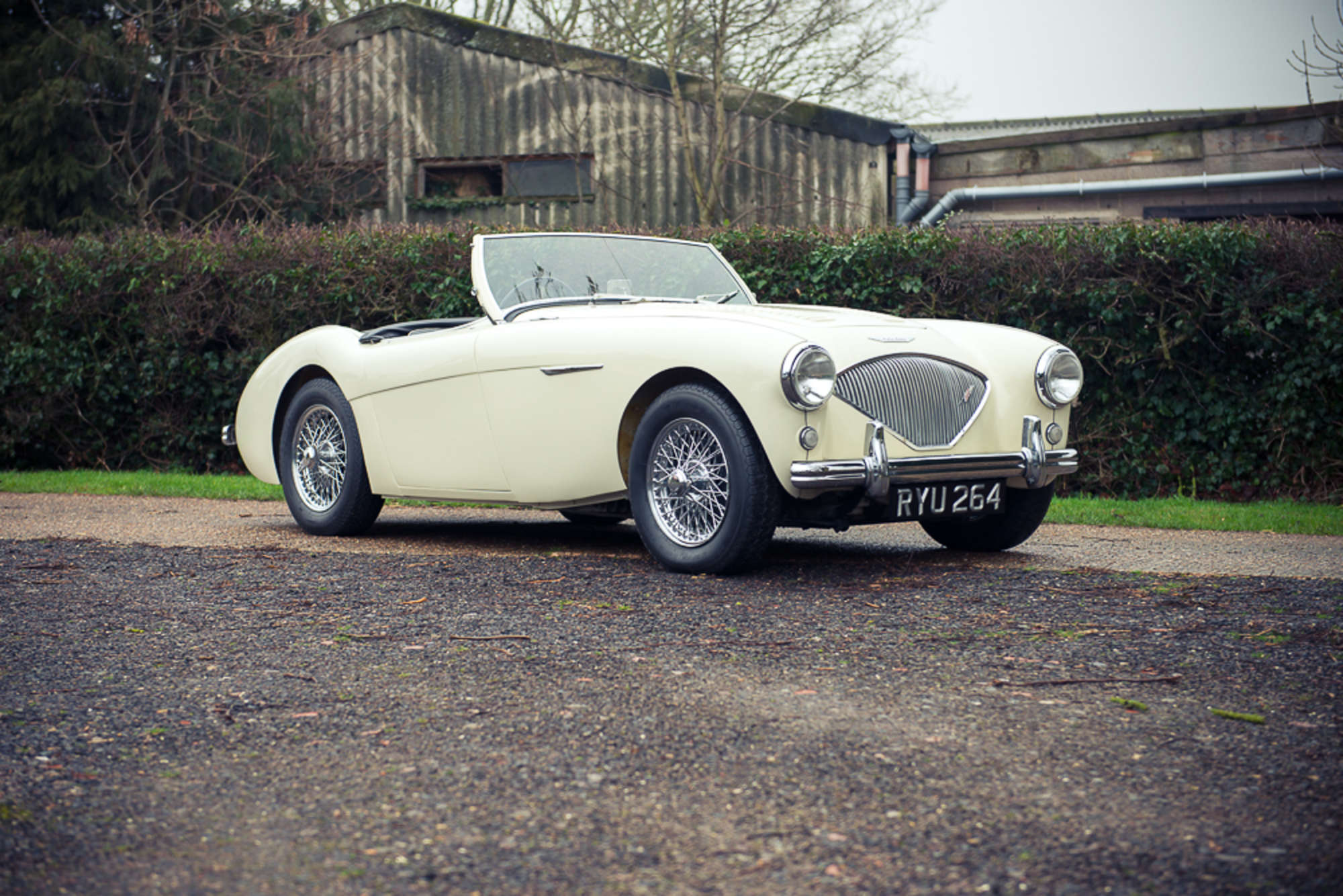 1955 Austin Healey 100/4 BN1-Auction Lot
