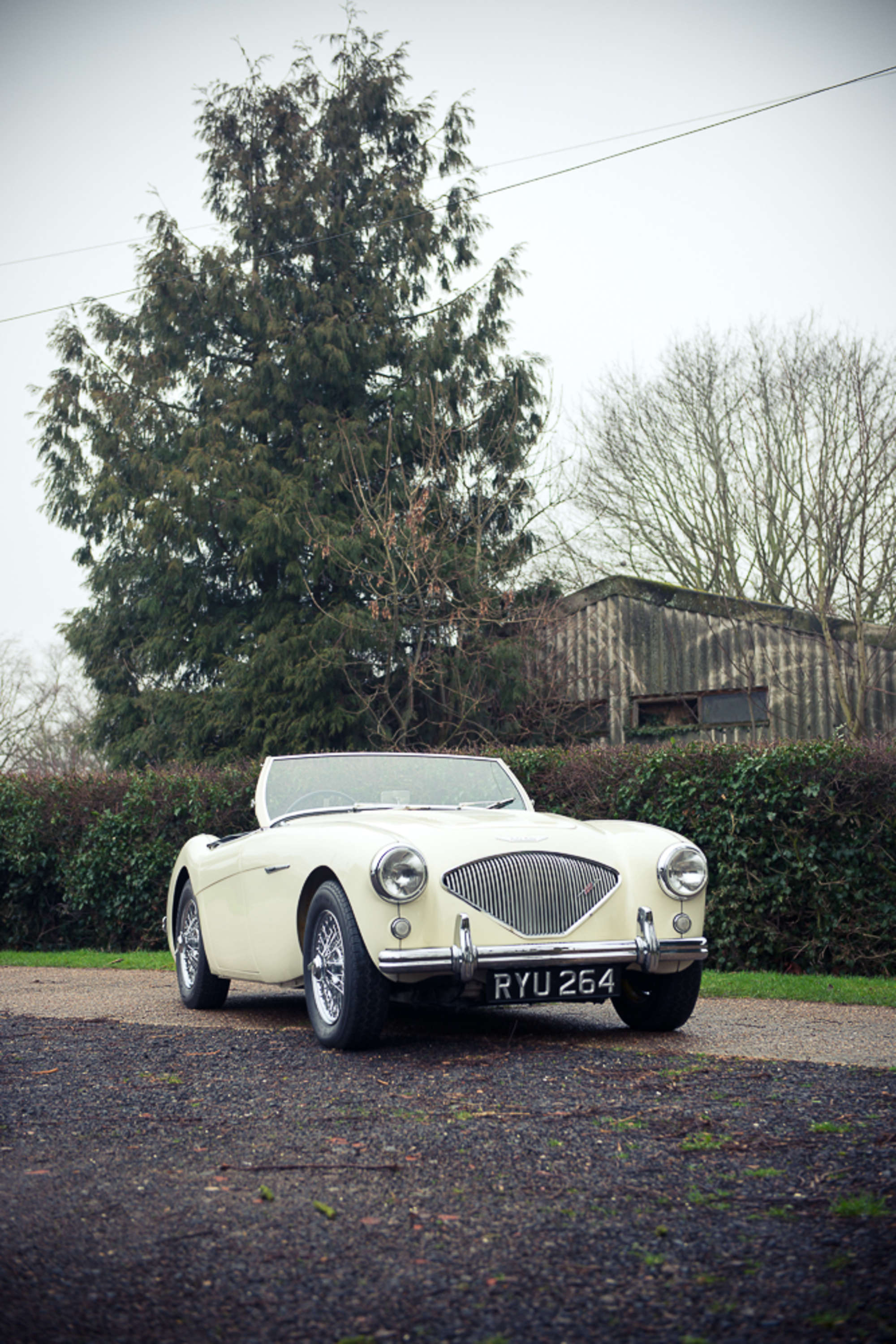 1955 Austin Healey 100/4 BN1-Auction Lot