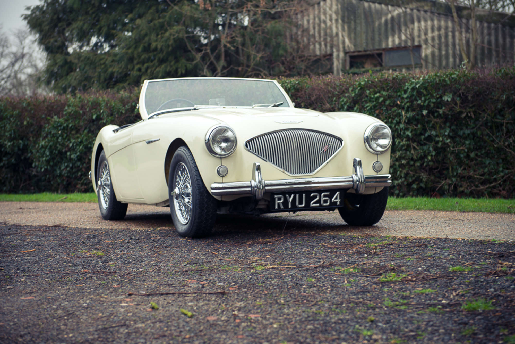 1955 Austin Healey 100/4 BN1-Auction Lot