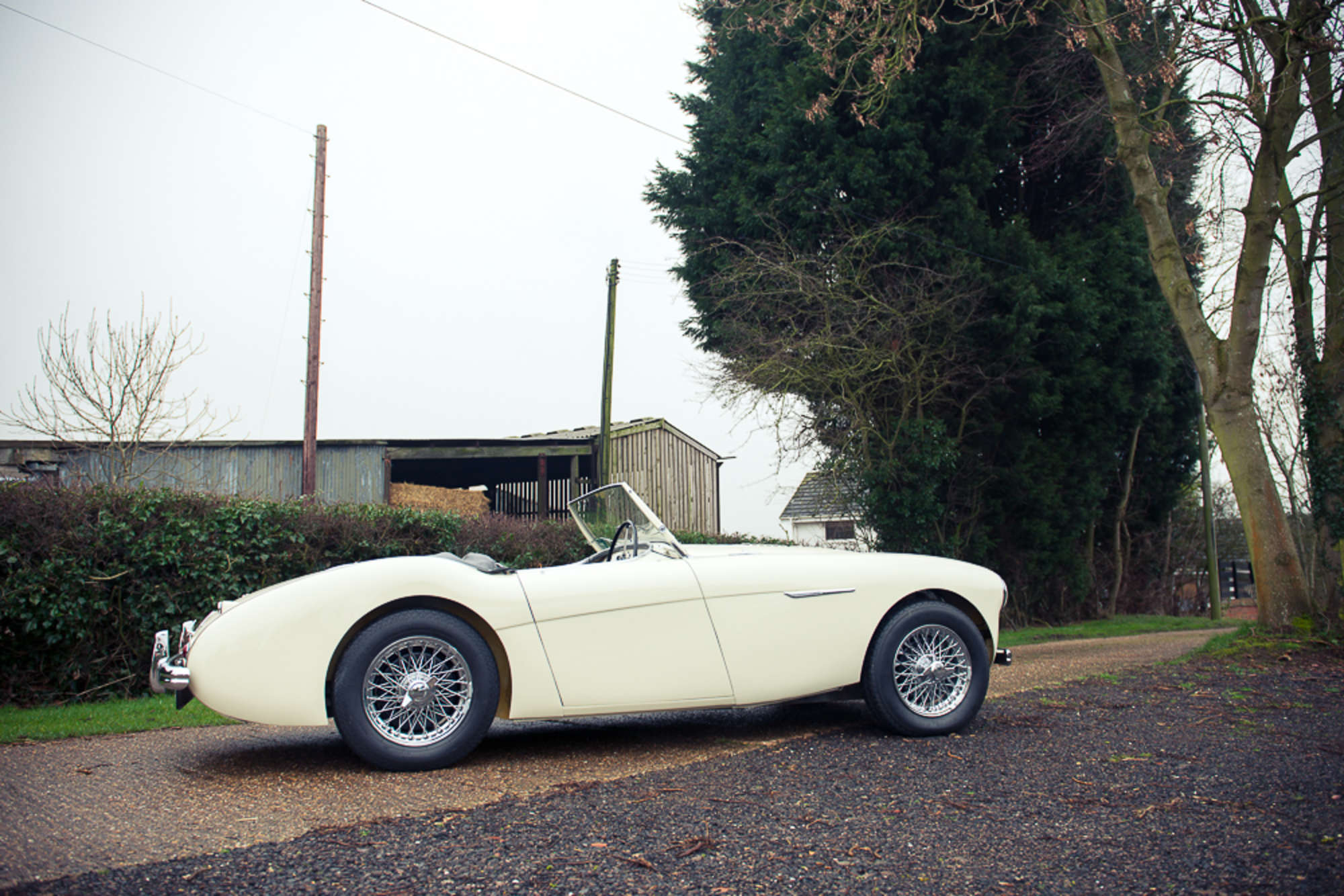 1955 Austin Healey 100/4 BN1-Auction Lot