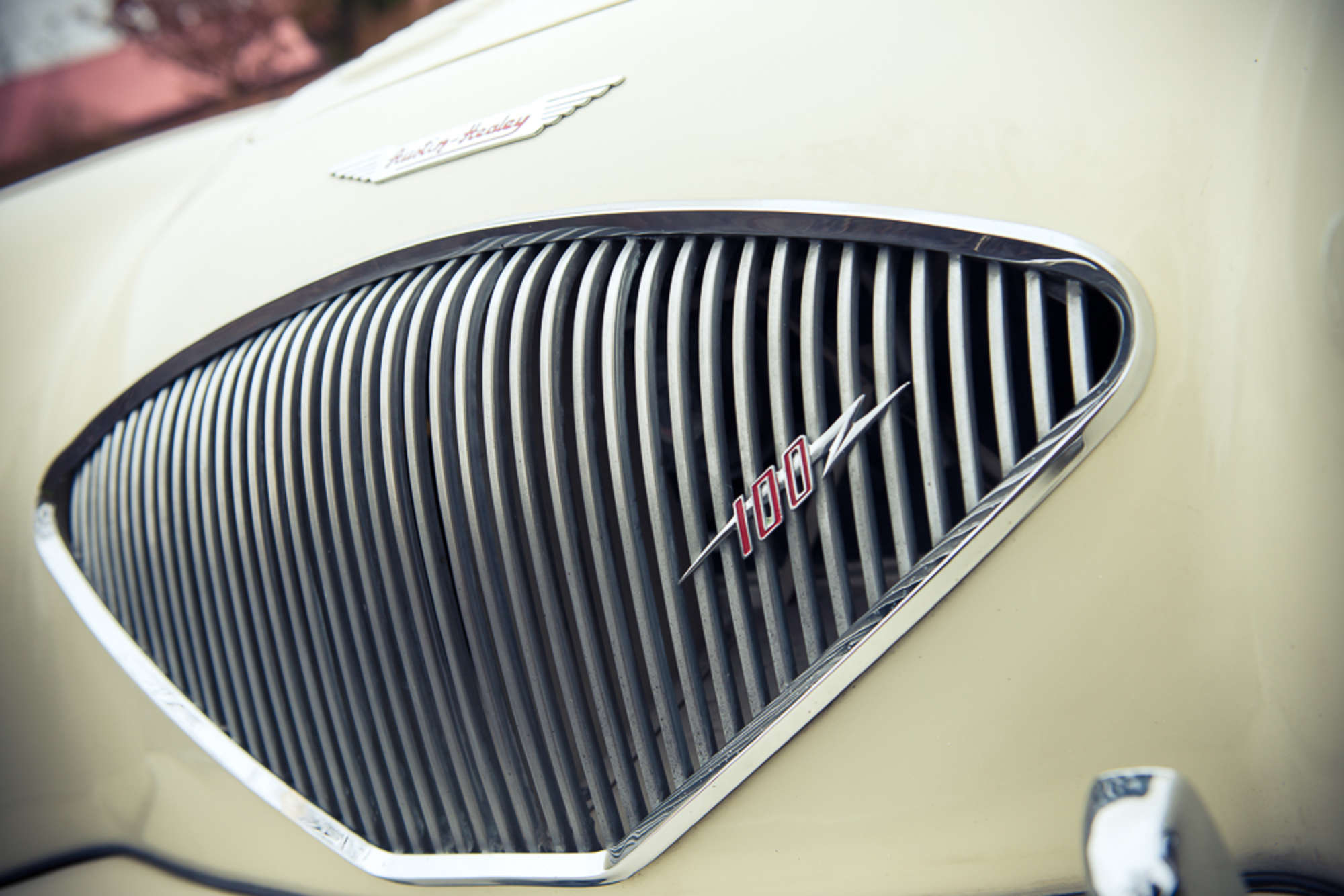 1955 Austin Healey 100/4 BN1-Auction Lot