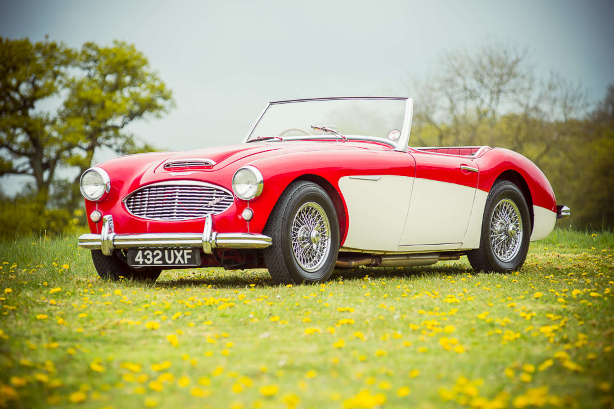 1959 Austin Healey 3000 MkI-Auction Lot