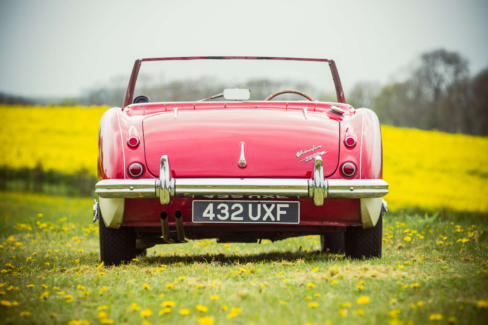 1959 Austin Healey 3000 MkI-Auction Lot