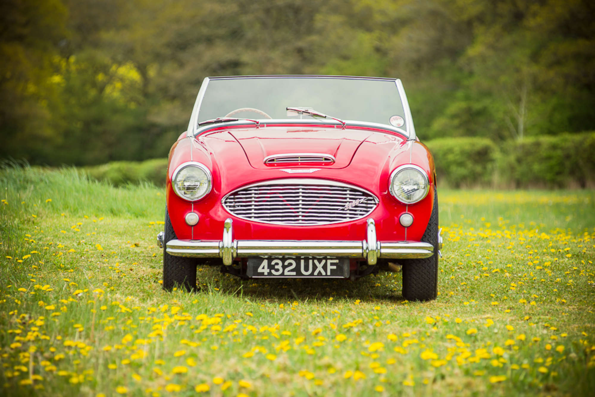 1959 Austin Healey 3000 MkI-Auction Lot