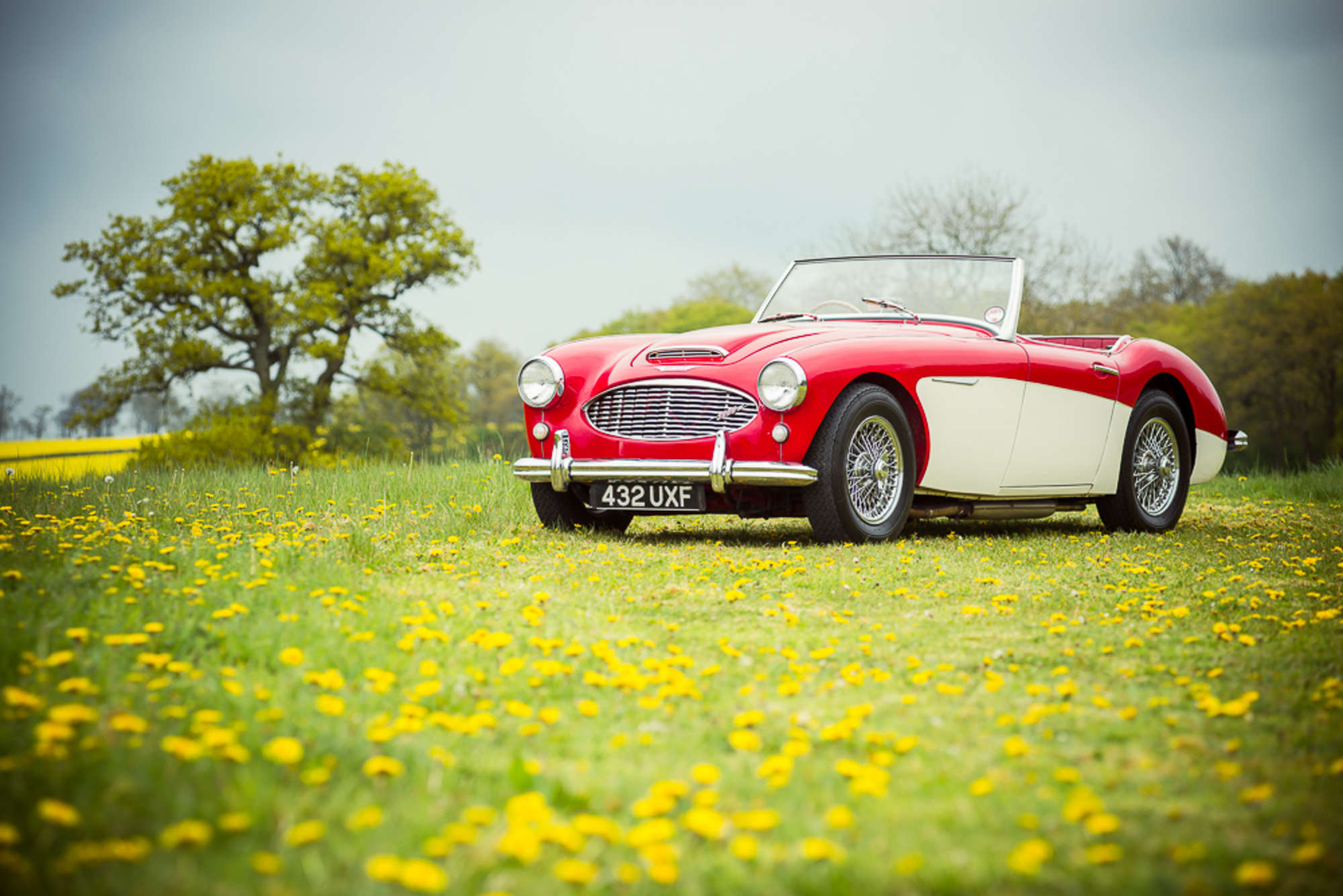 1959 Austin Healey 3000 MkI-Auction Lot