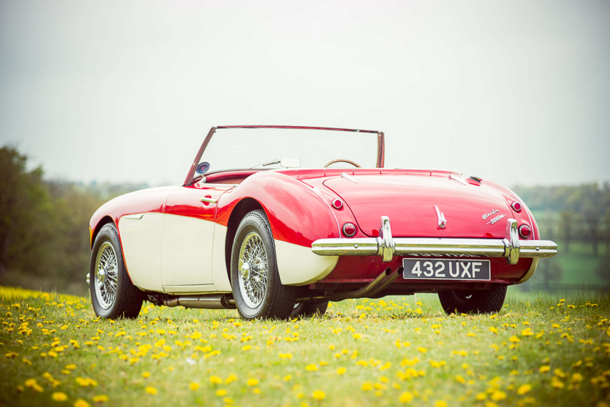 1959 Austin Healey 3000 MkI-Auction Lot