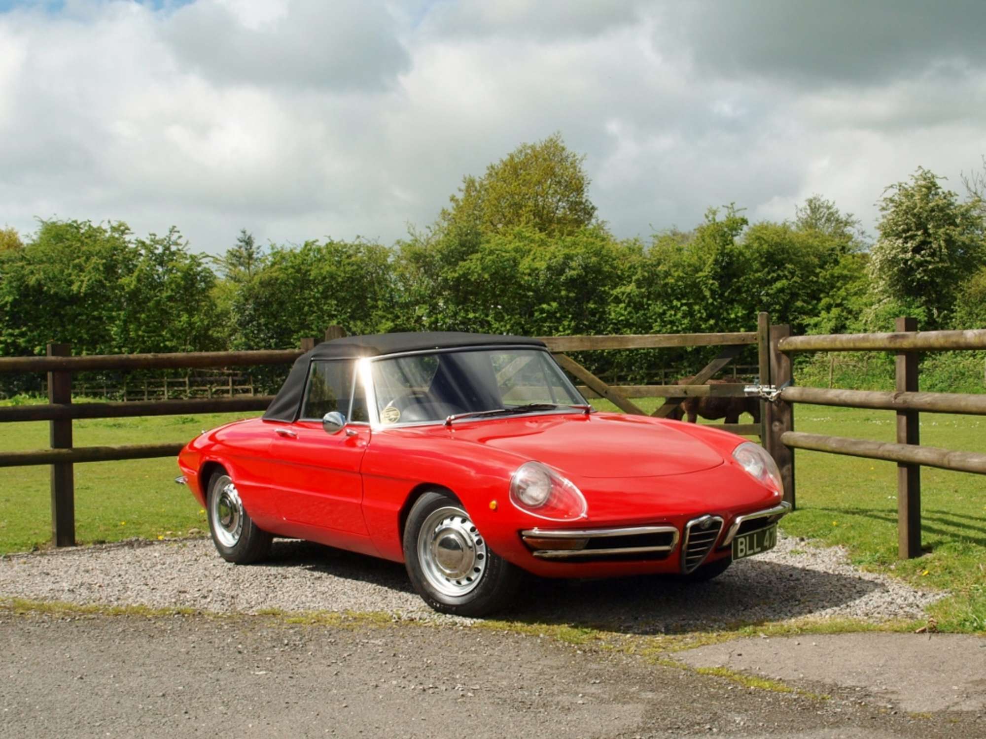 1969 Alfa Romeo Duetto Spider-Sold