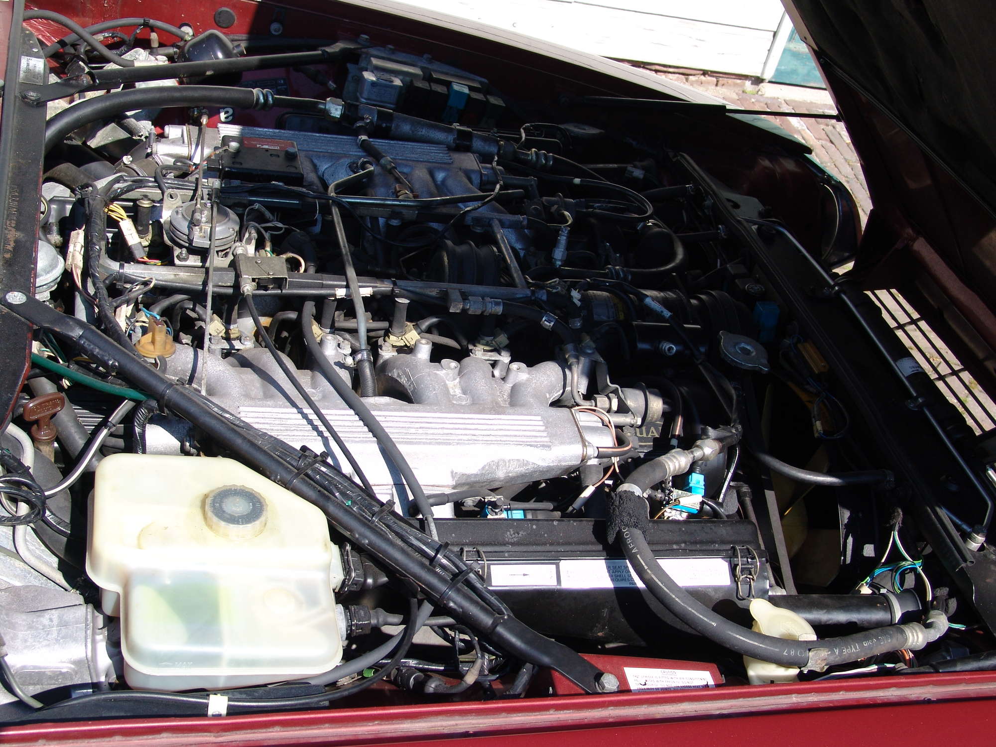 1988 Lynx Eventer V12 HE-Sold