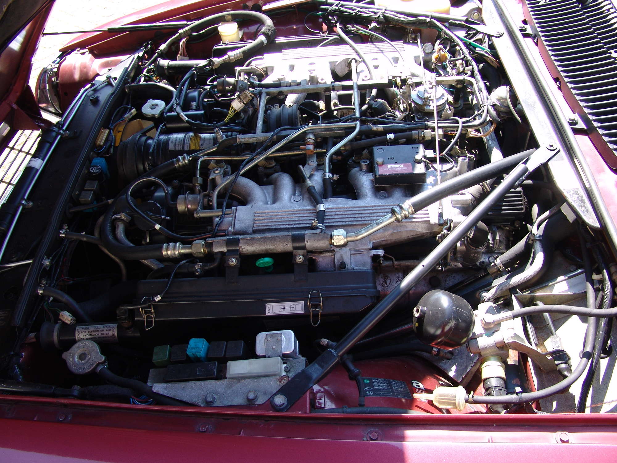 1988 Lynx Eventer V12 HE-Sold