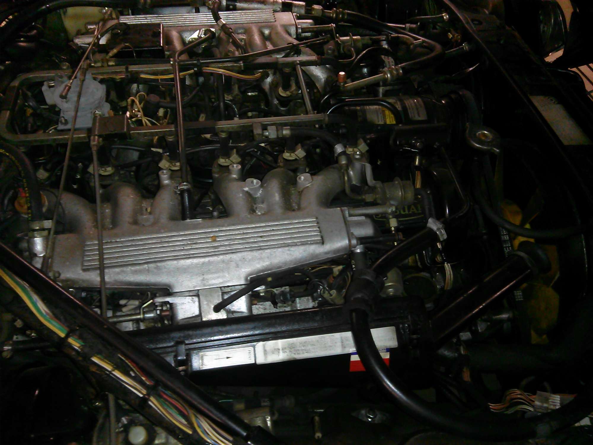 1984 Lynx Eventer XJS #20-Auction Lot