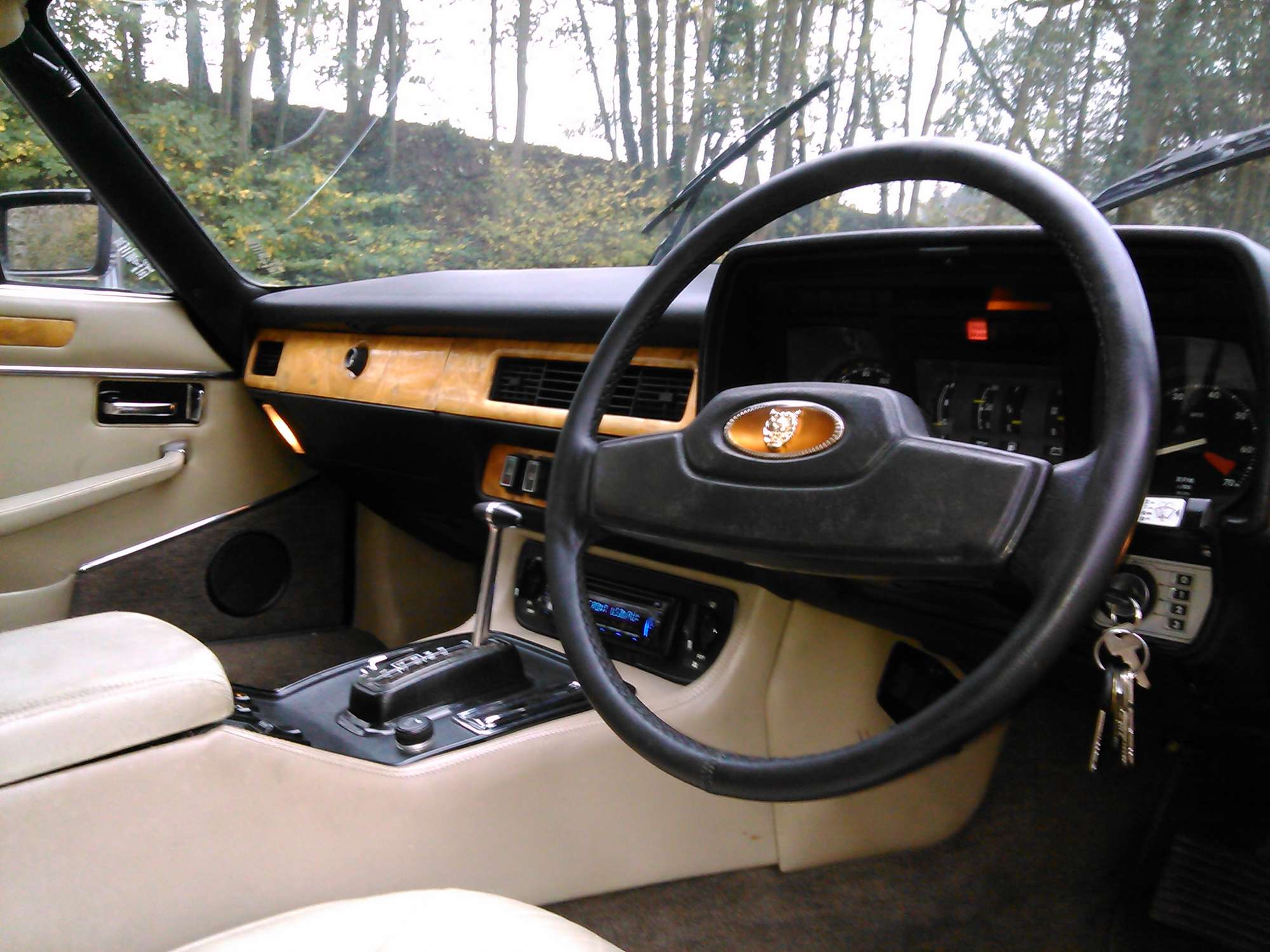 1984 Lynx Eventer XJS #20-Auction Lot