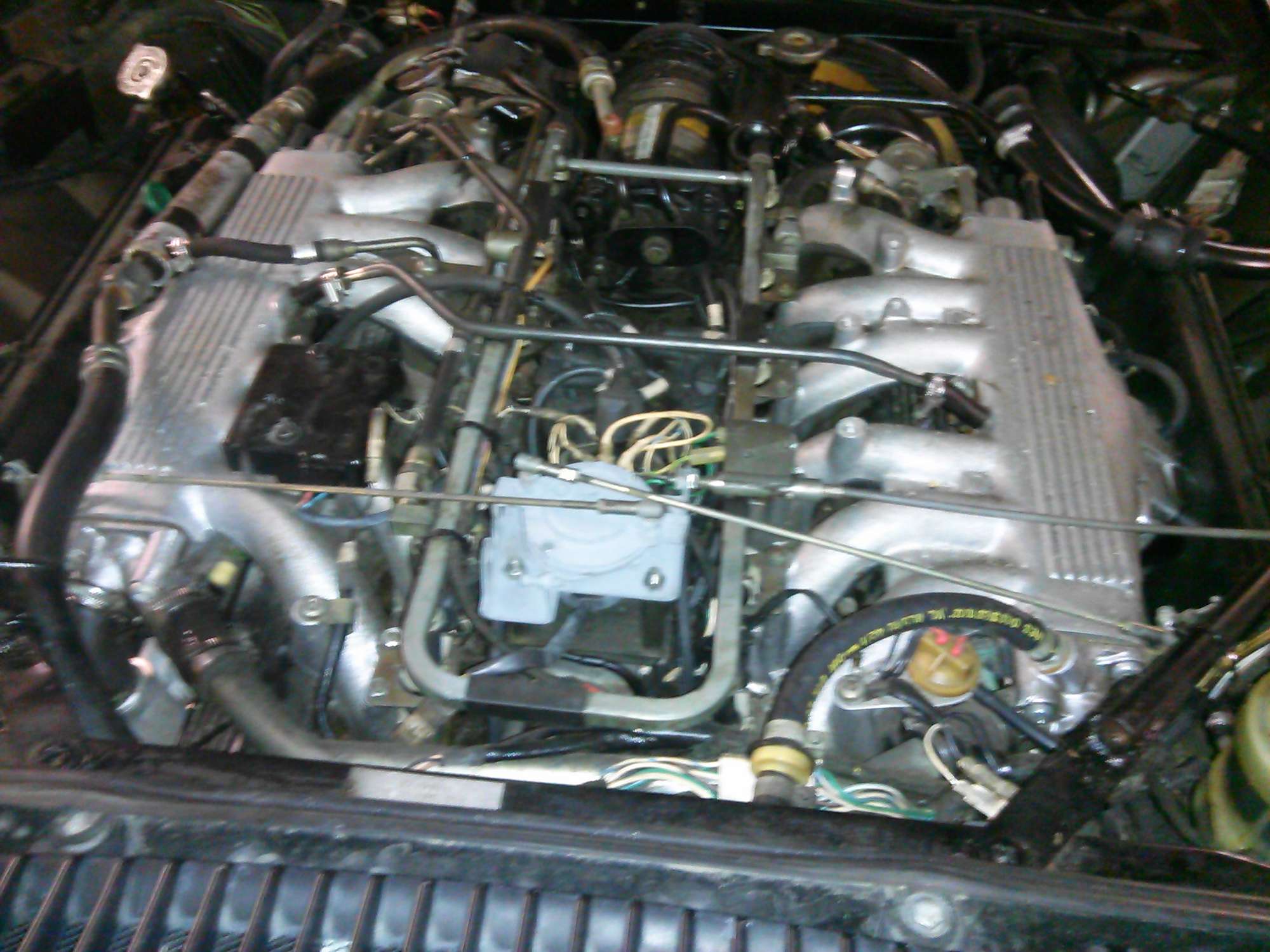 1984 Lynx Eventer XJS #20-Auction Lot