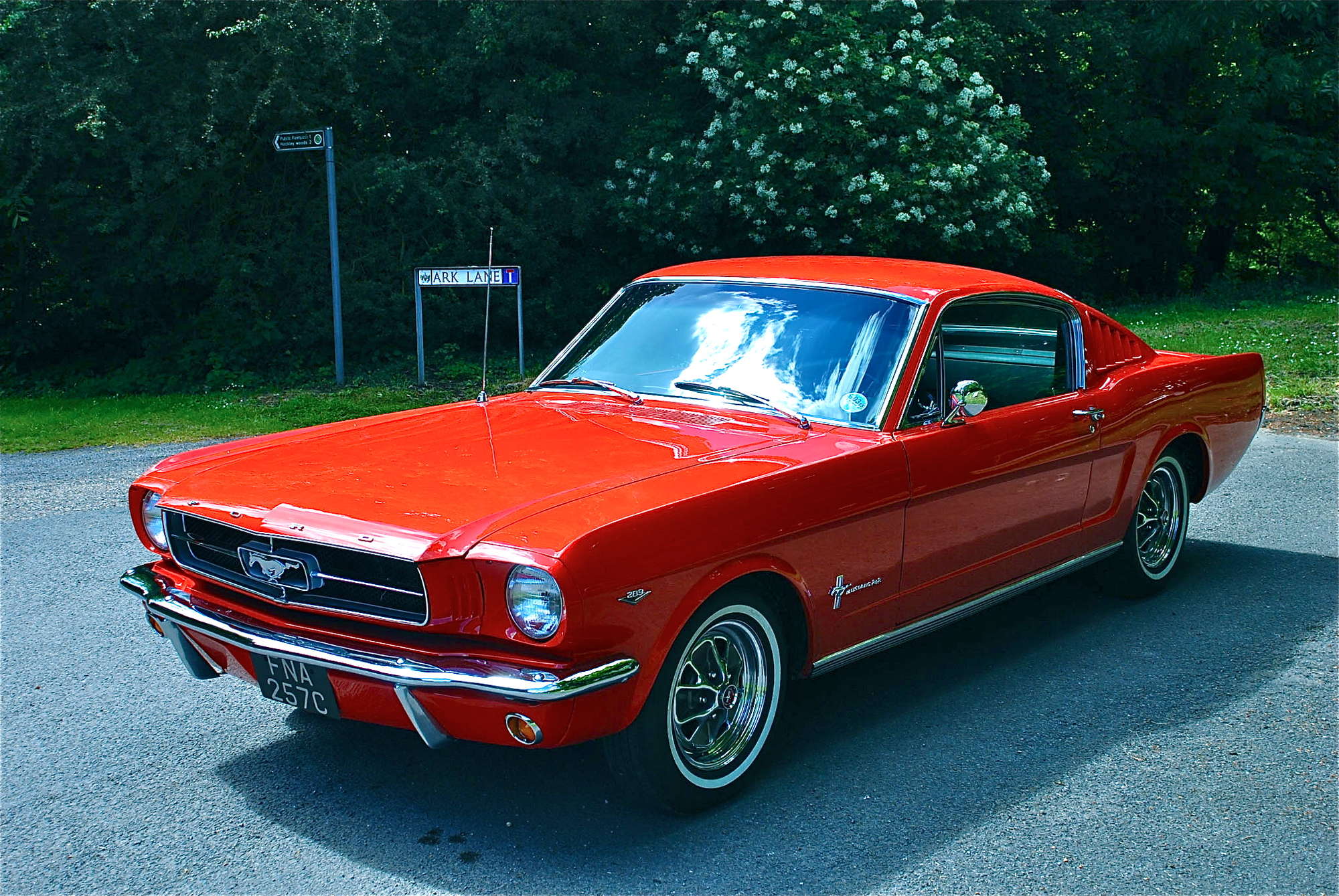 1965 Ford Mustang 289 Fastback Automatic-Sold