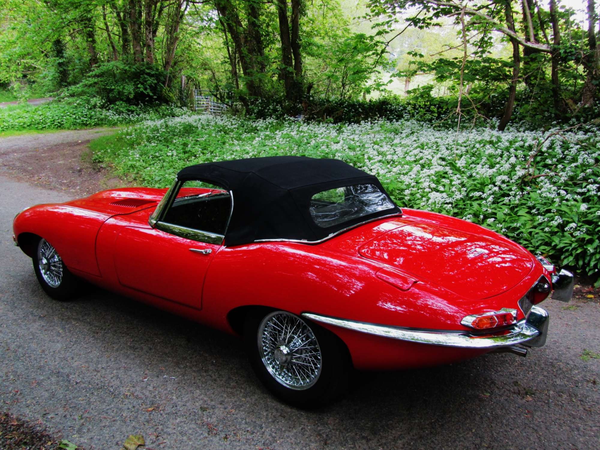 ***Regretfully Withdrawn*** 1965 Jaguar E-Type Roadster Conv-Auction Lot