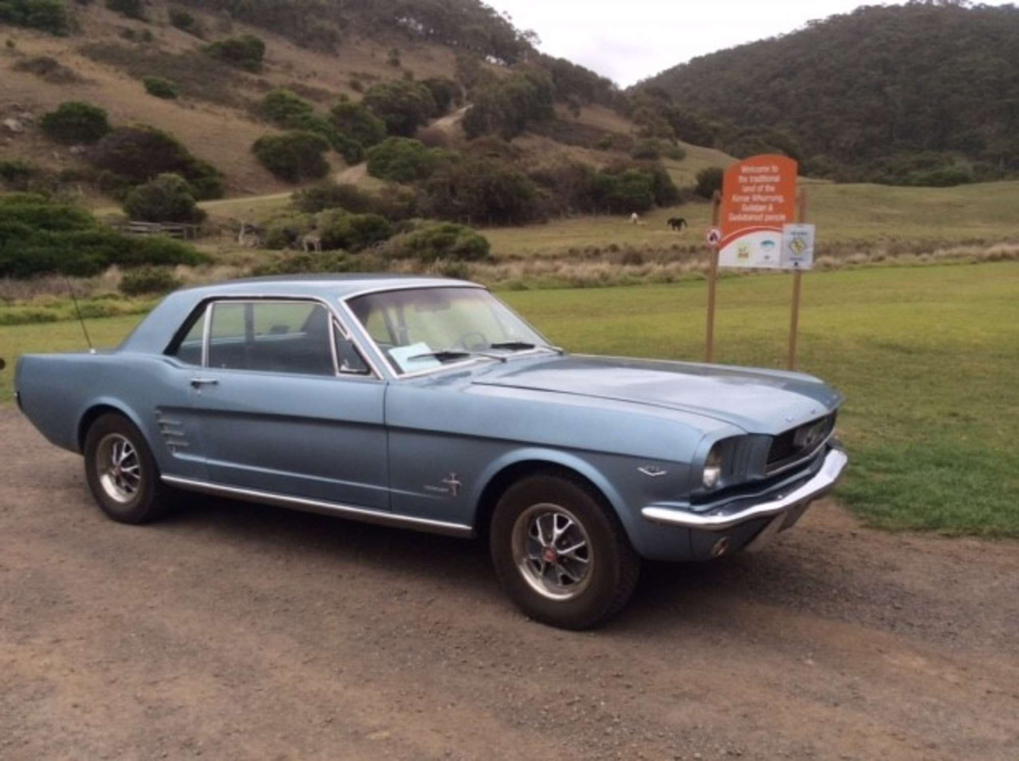 1966 Ford Mustang 289 V8 -Auction Lot