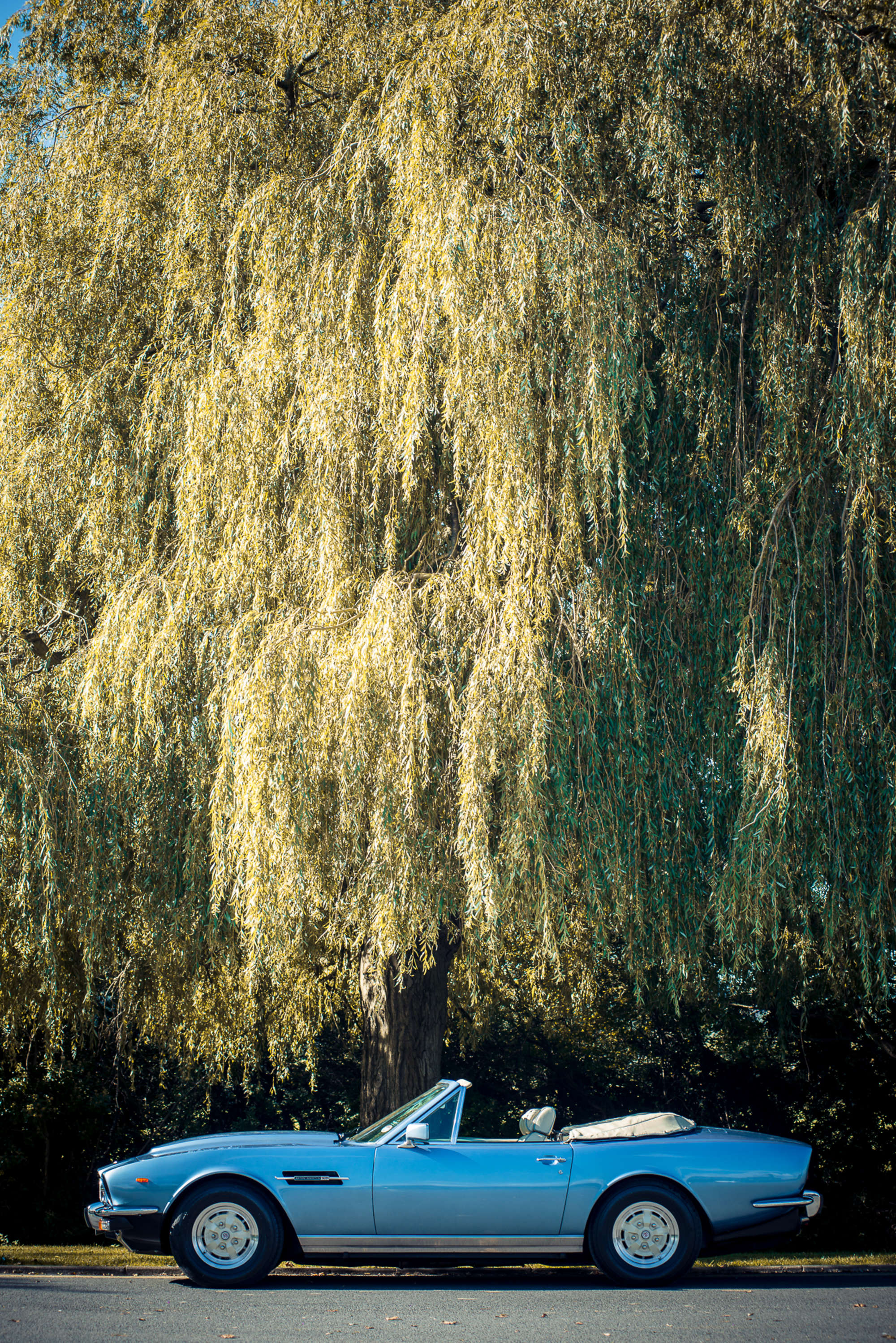 1979 Aston Martin V8 Volante-Sold