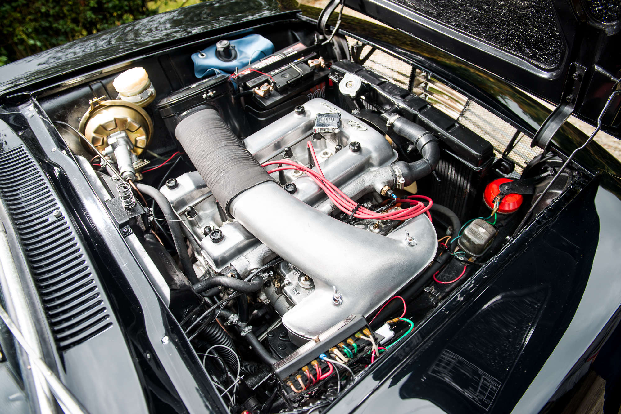 1967 Alfa Romeo GT Sprint Veloce-Sold