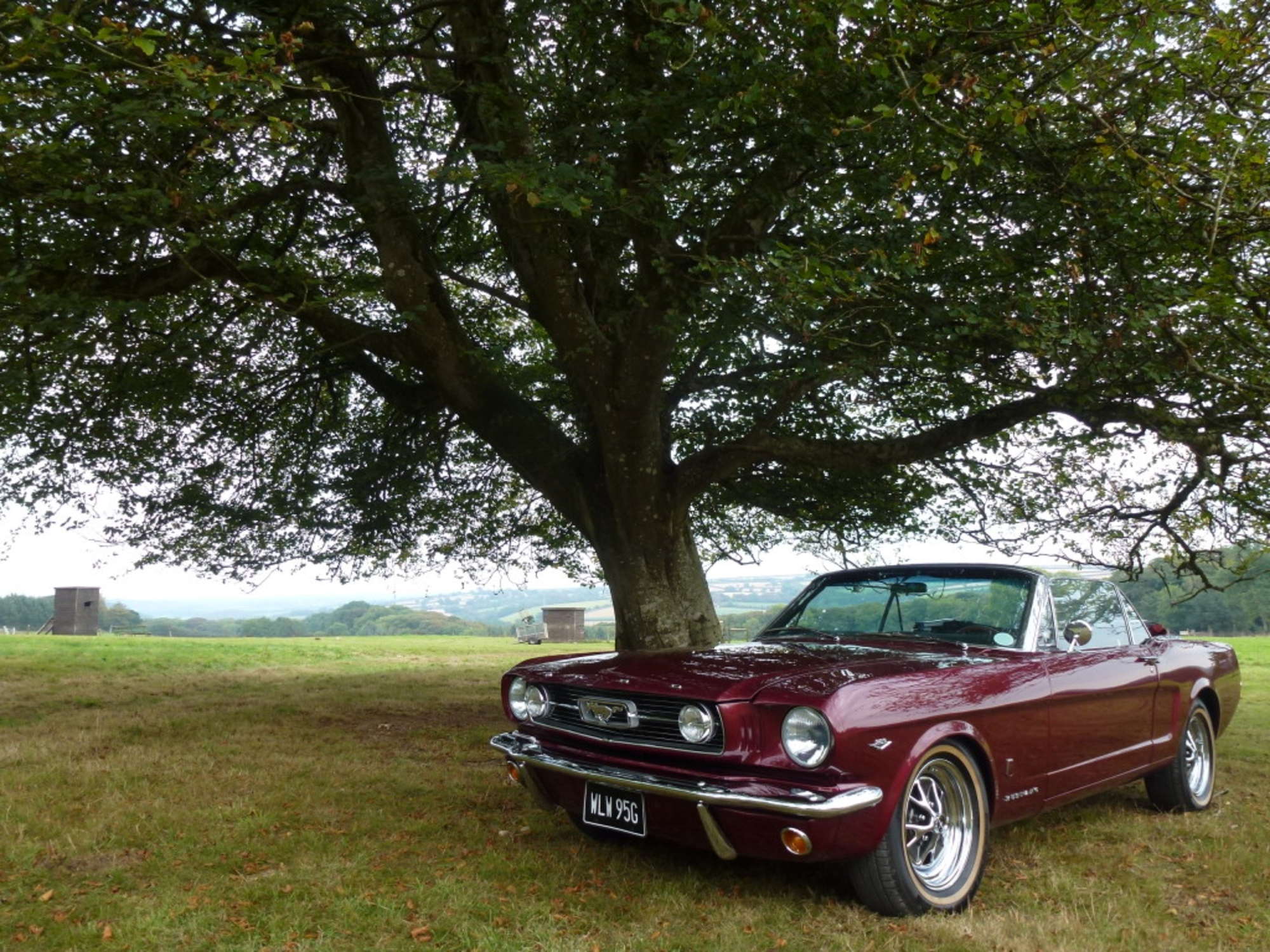 1966 Ford Mustang Convertible-Sold