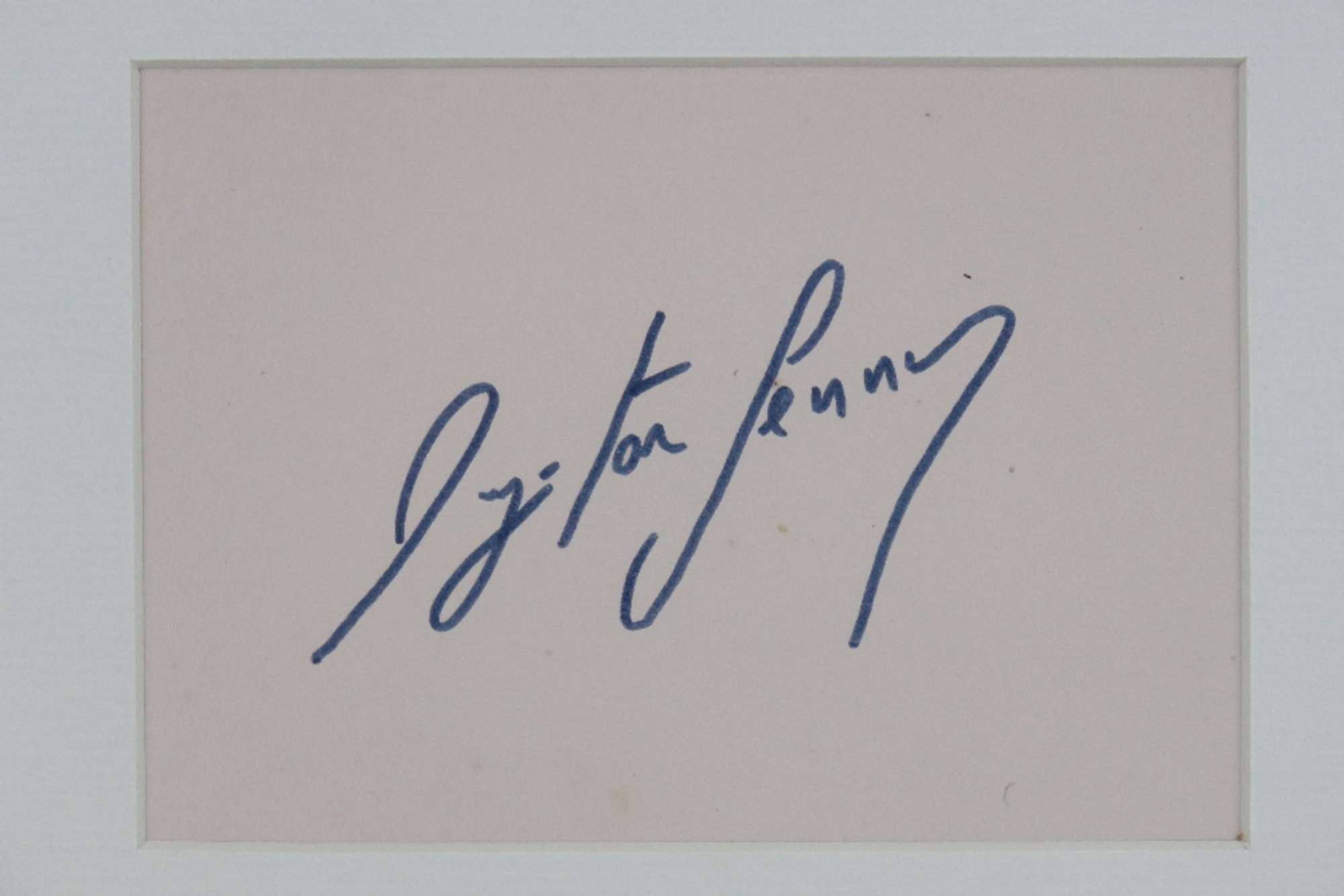 Ayrton Senna autograph in photographic montage-Sold