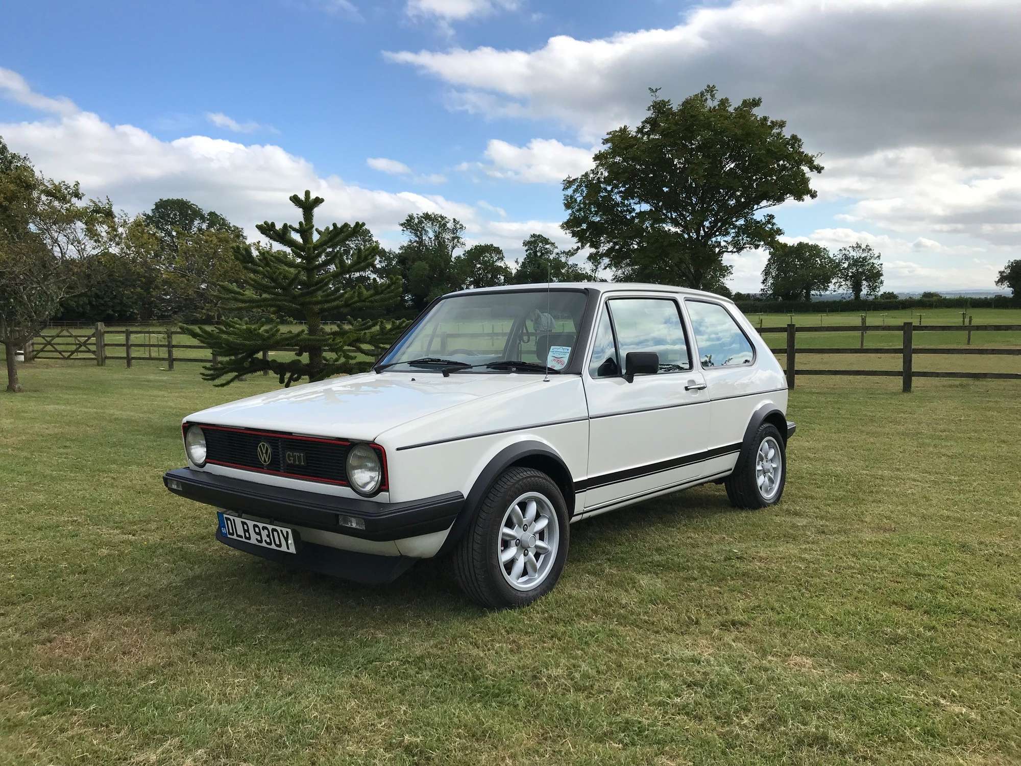 1983 Volkswagen Golf GTi Mk1-Sold