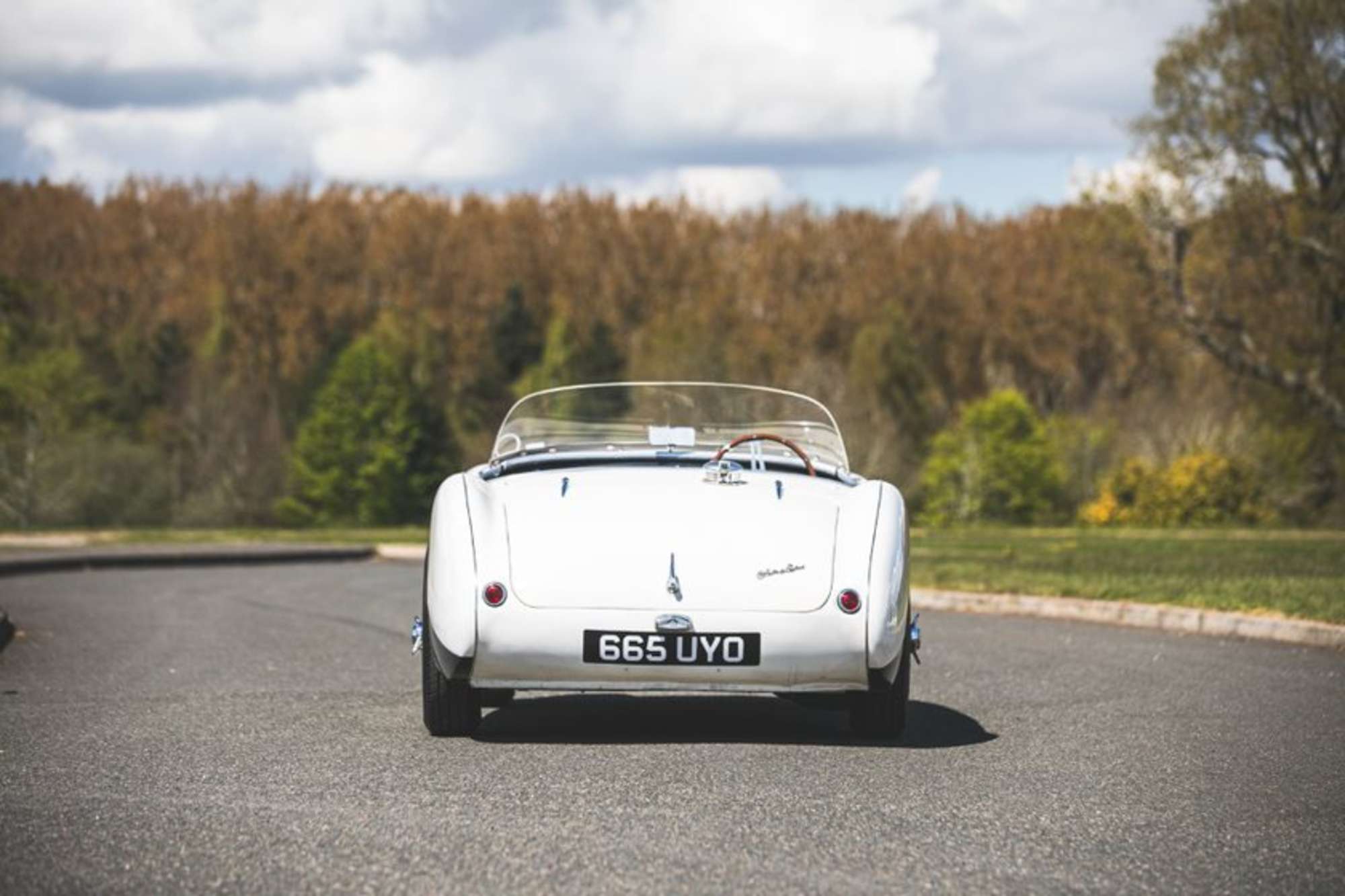 1954 Austin-Healey 100-4 BN1 '100 S Homage'-Sold