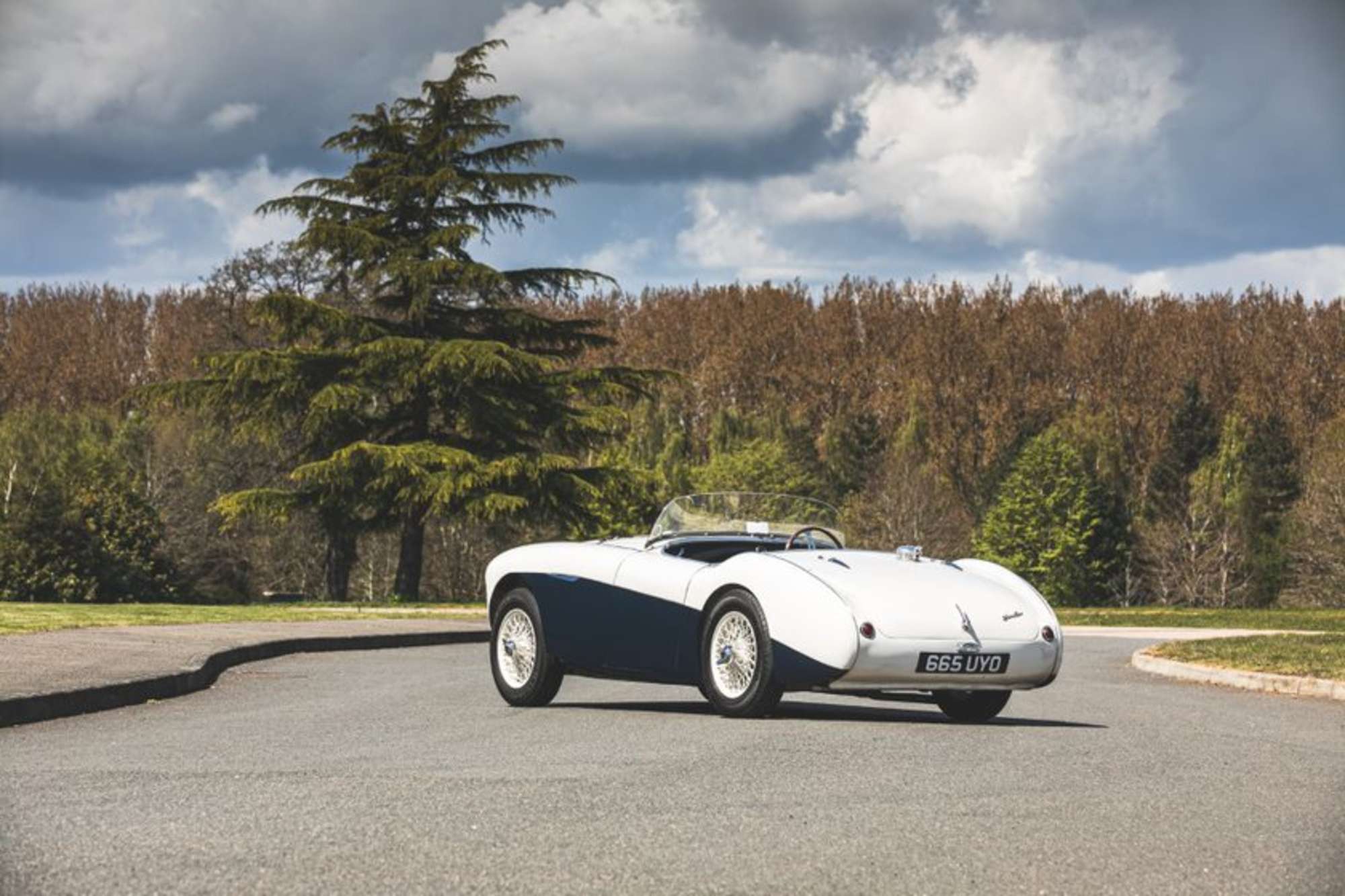 1954 Austin-Healey 100-4 BN1 '100 S Homage'-Sold