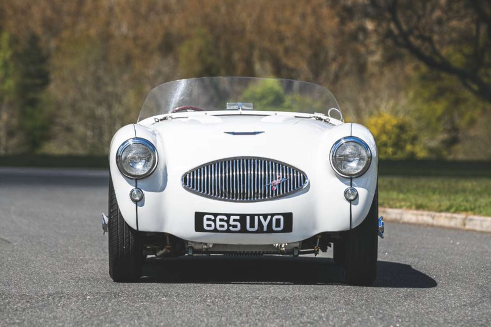 1954 Austin-Healey 100-4 BN1 '100 S Homage'-Sold