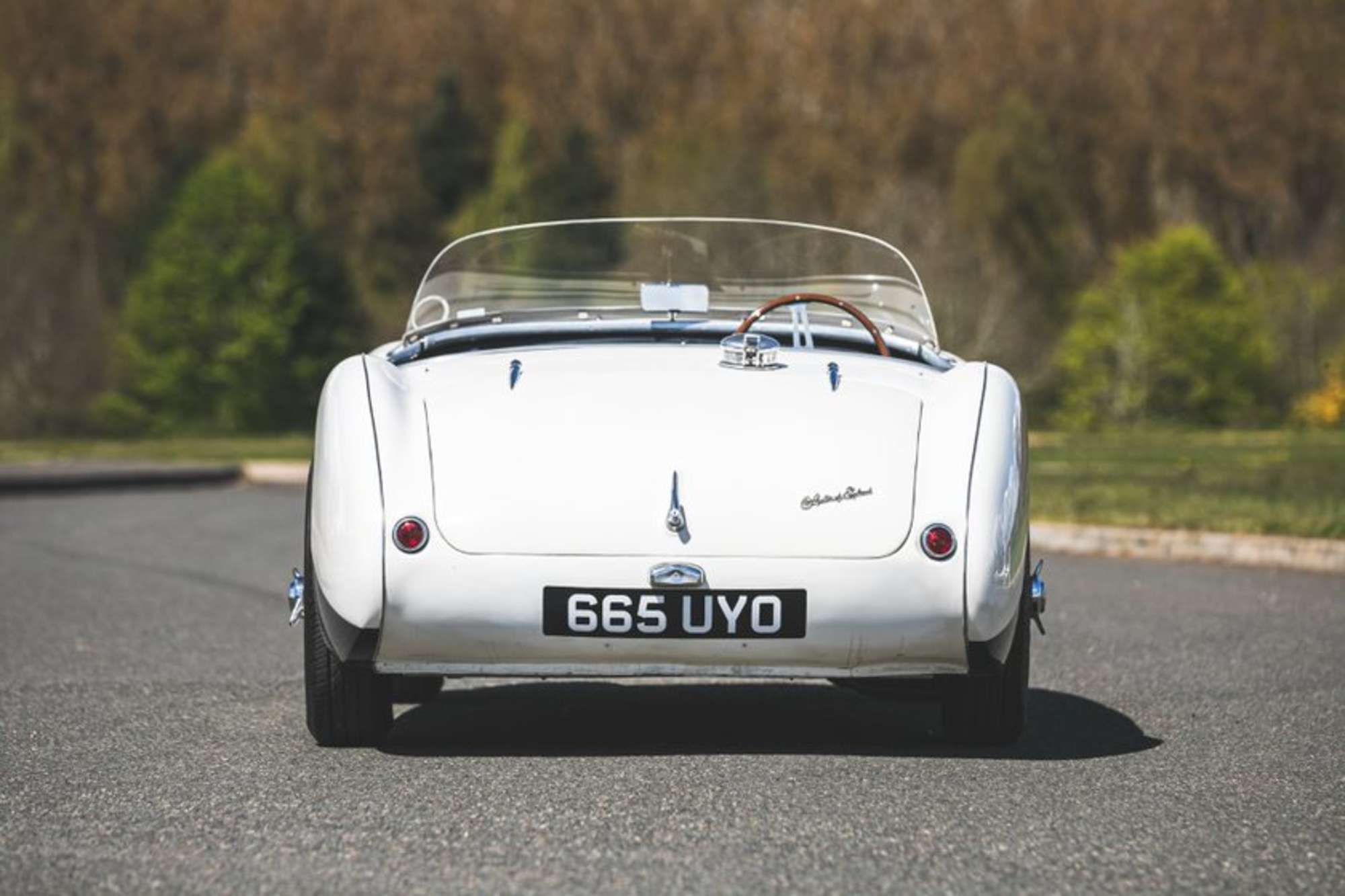 1954 Austin-Healey 100-4 BN1 '100 S Homage'-Sold