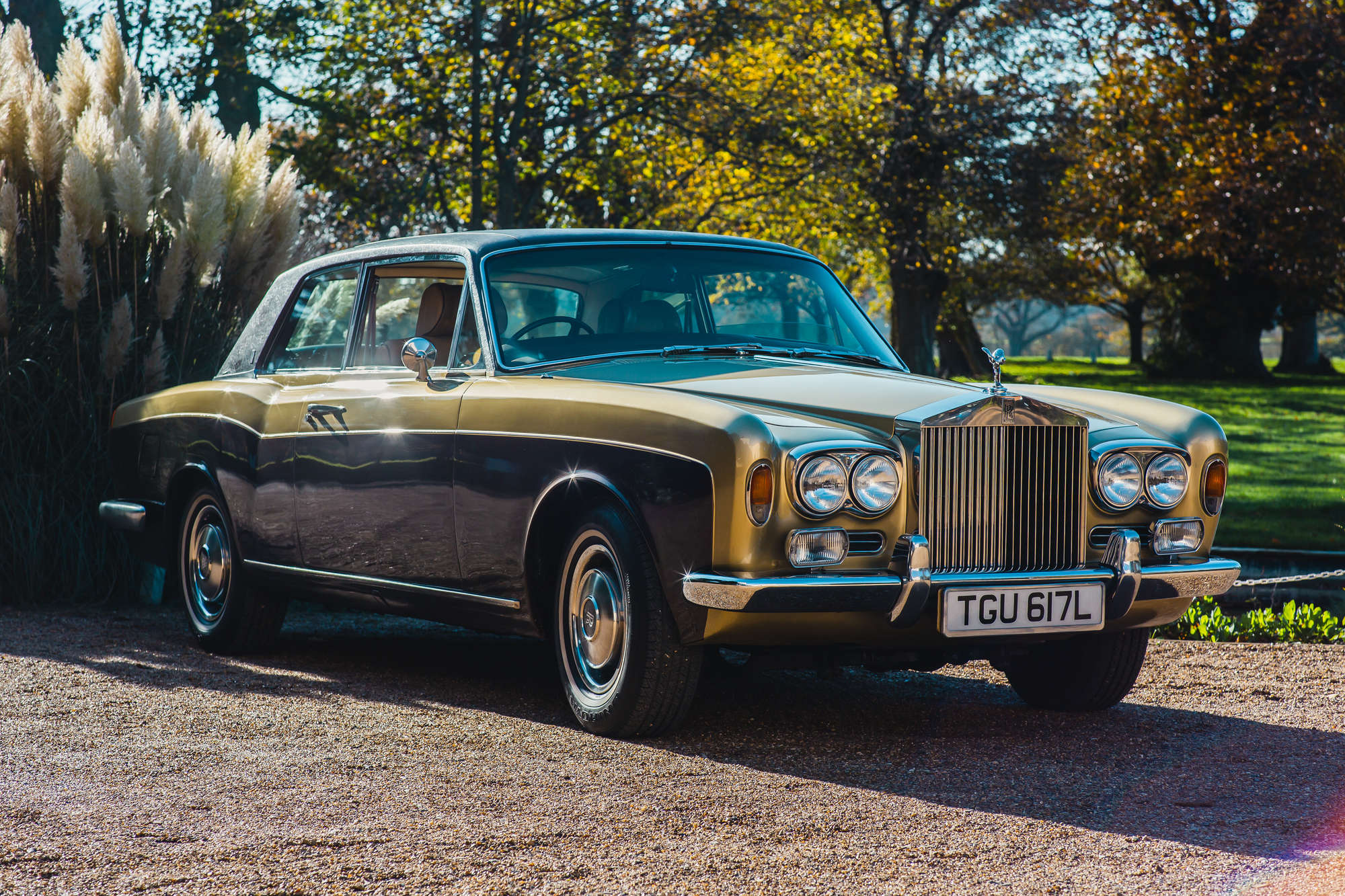 1973 Rolls-Royce Corniche 2-Door Saloon-Auction Lot