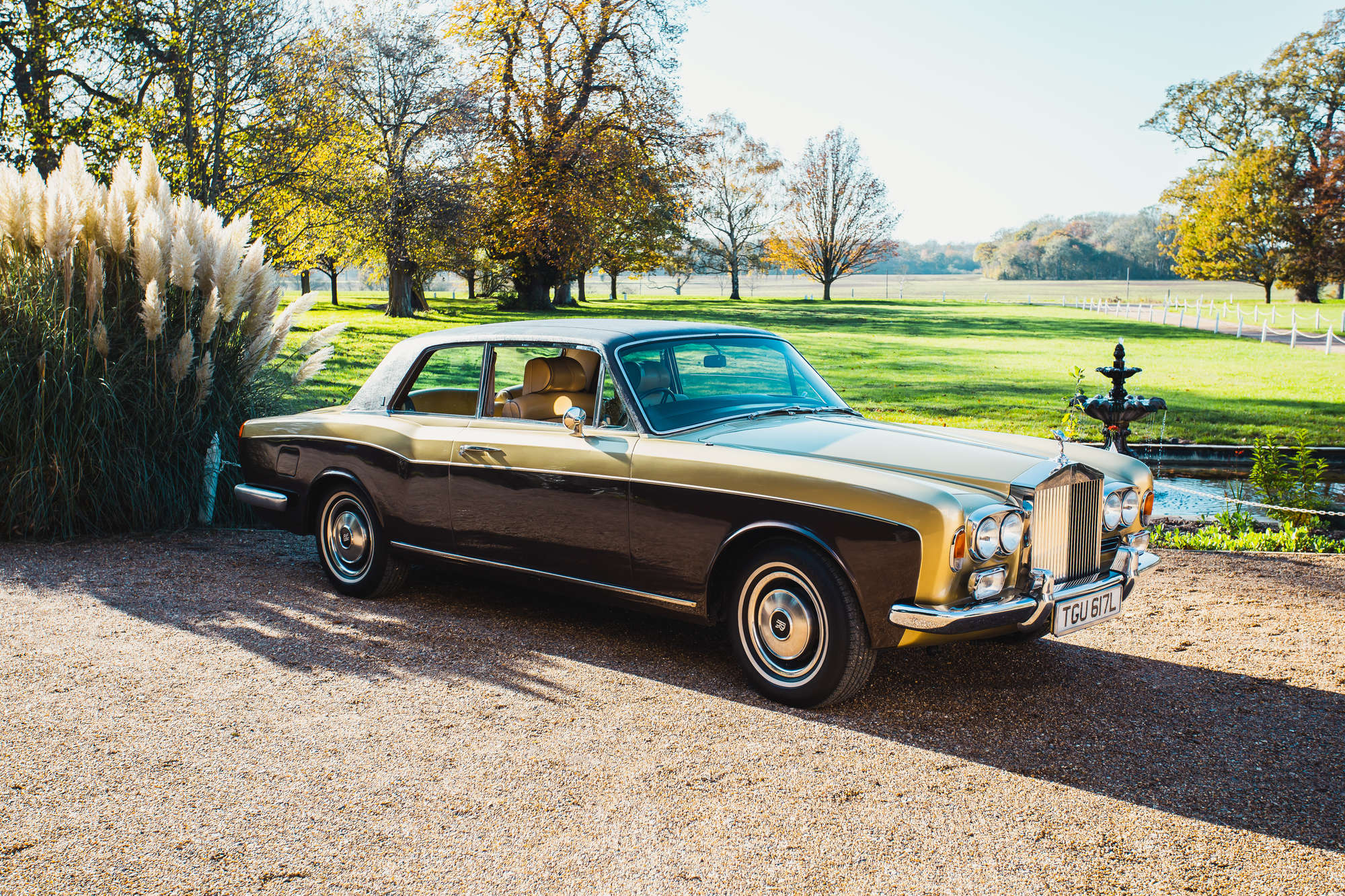 1973 Rolls-Royce Corniche 2-Door Saloon-Auction Lot