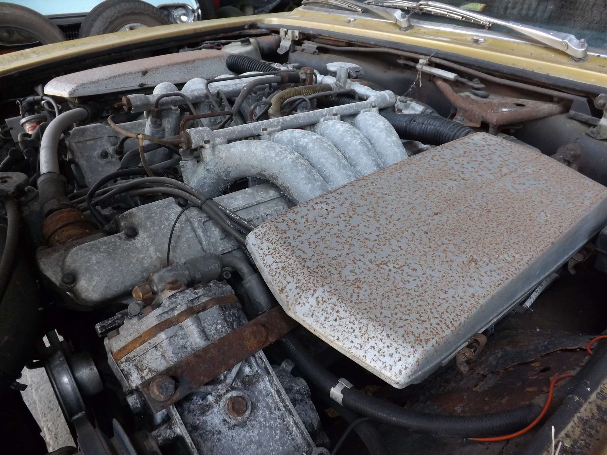 1973 Aston Martin AM V8 - Garage Find-Sold