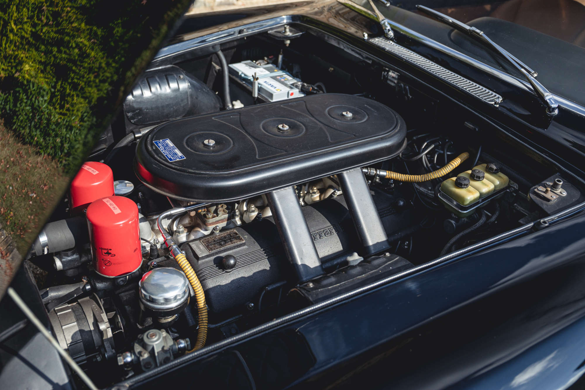 1966 Ferrari 330 GT 2+2 Series II-Auction Lot