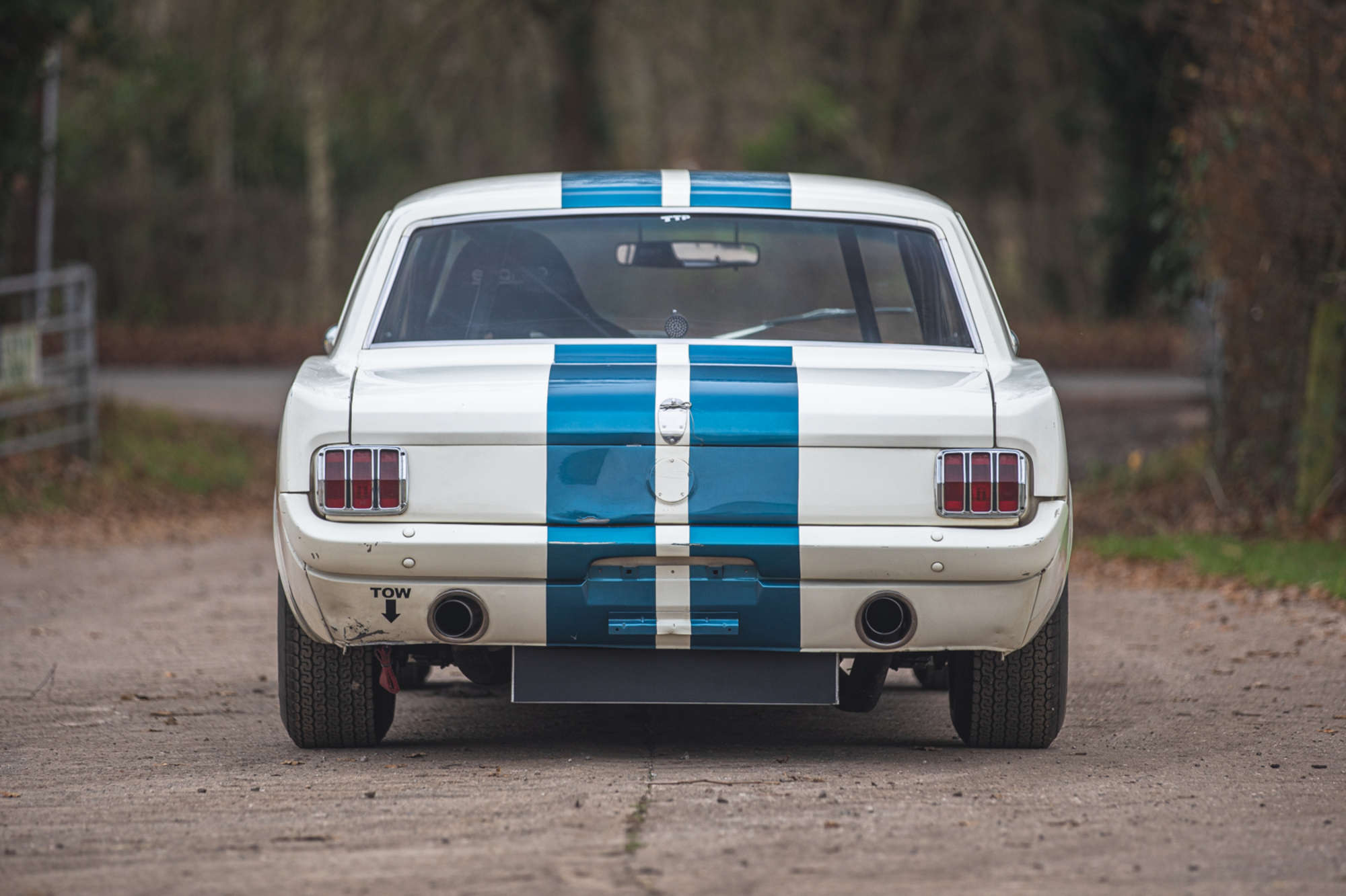 1965 Ford Mustang Coupé Race Car-Auction Lot