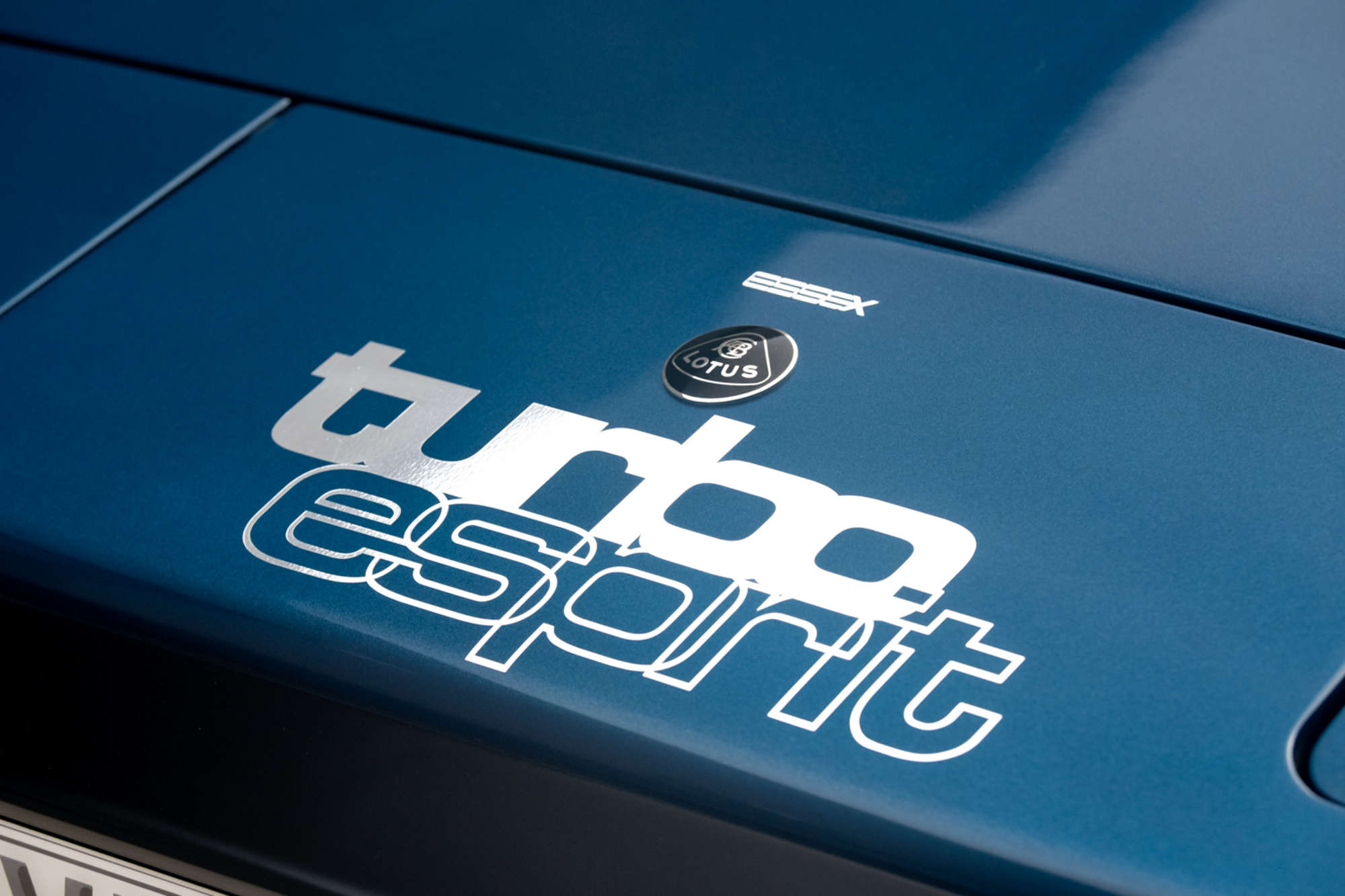 1981 Essex Commemorative Lotus Esprit Turbo-Auction Lot