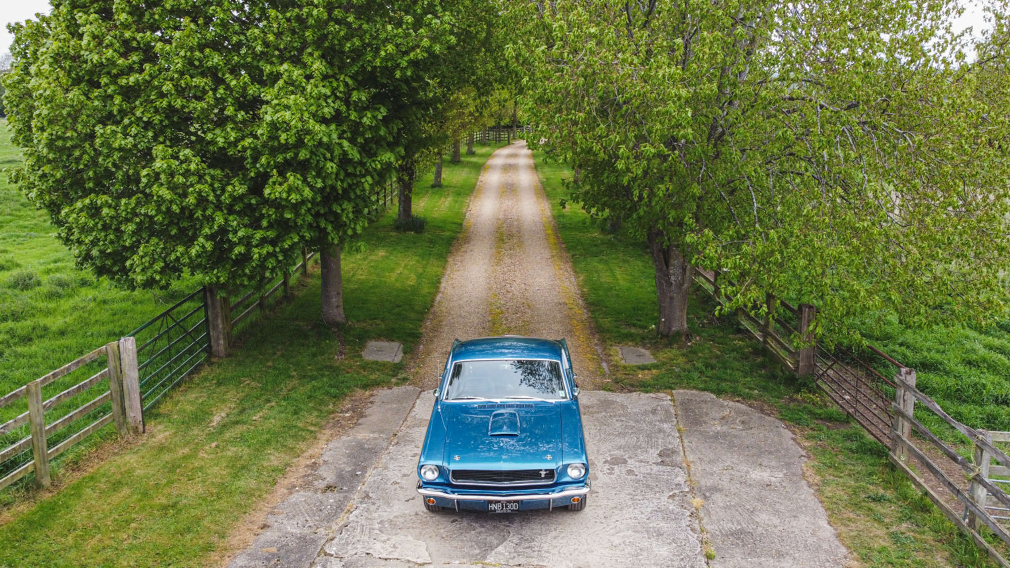 1966 Ford Shelby Mustang GT350 -Auction Lot