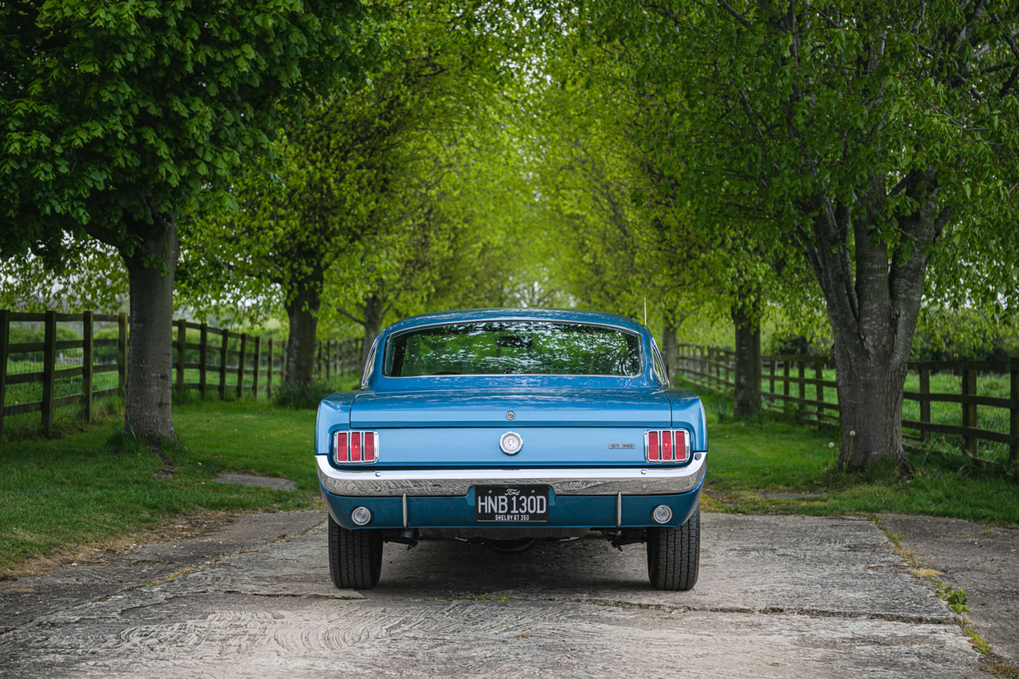 1966 Ford Shelby Mustang GT350 -Auction Lot