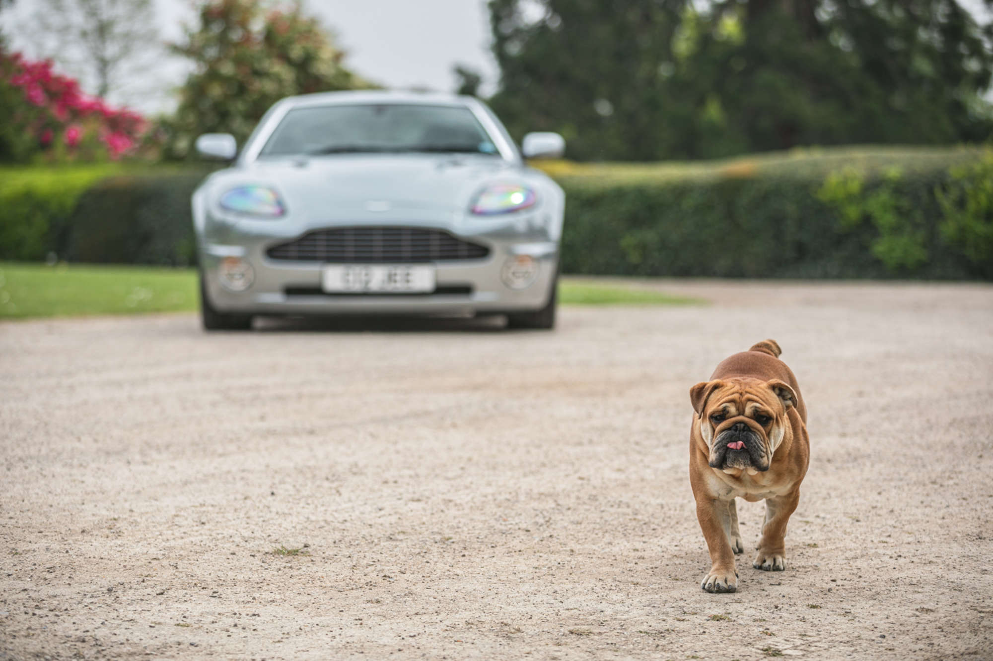 2005 Aston Martin Vanquish S 2+2-Auction Lot